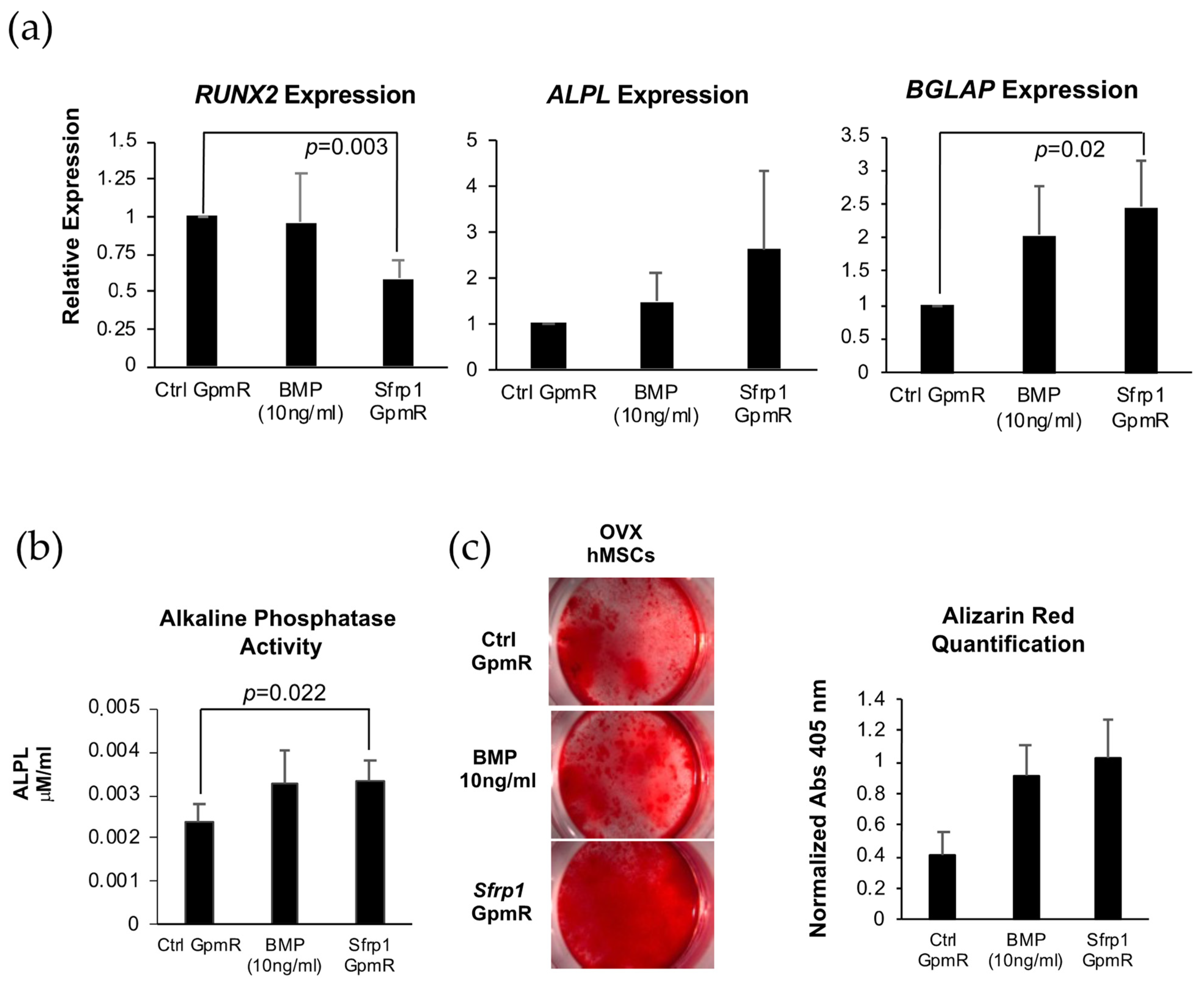 Pharmaceutics 13 01277 g005 550