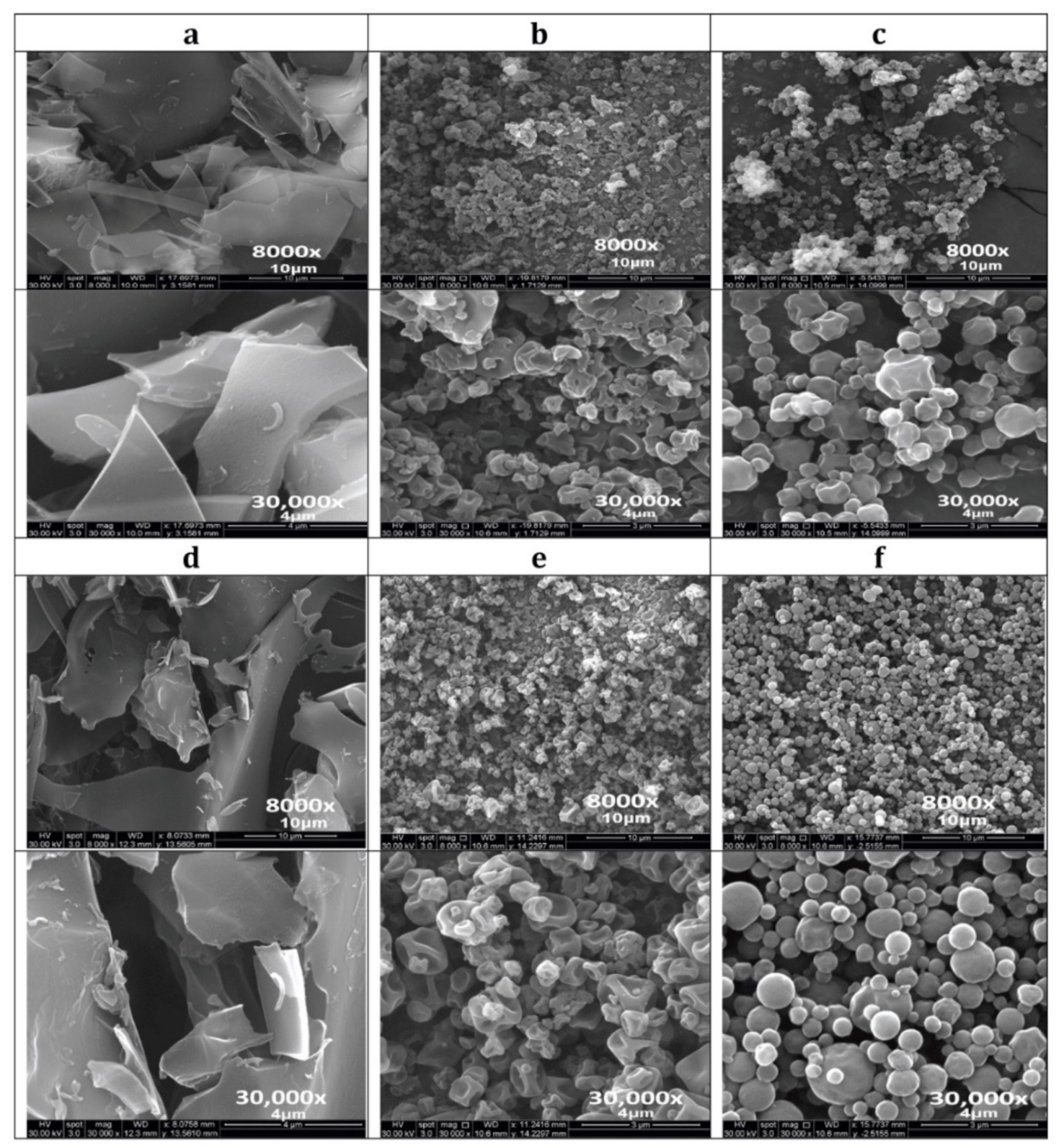 Pharmaceutics 13 01278 g004 Pharmaceutics 13 01278 g004