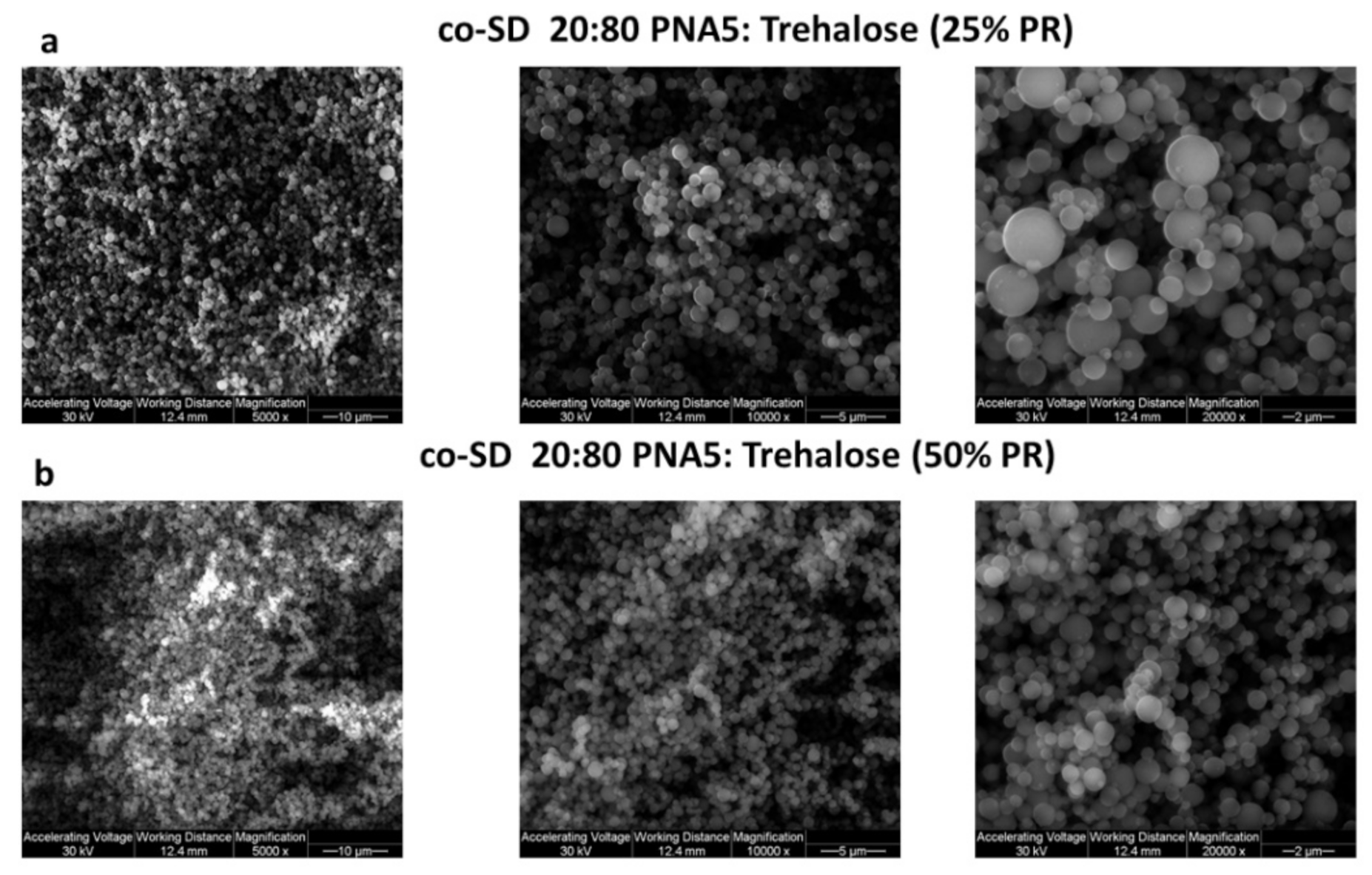 Pharmaceutics 13 01278 g005 Pharmaceutics 13 01278 g005
