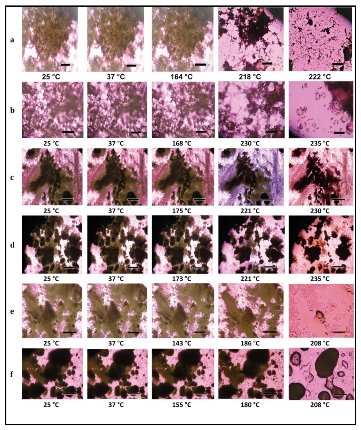 Pharmaceutics 13 01278 g010 Pharmaceutics 13 01278 g010