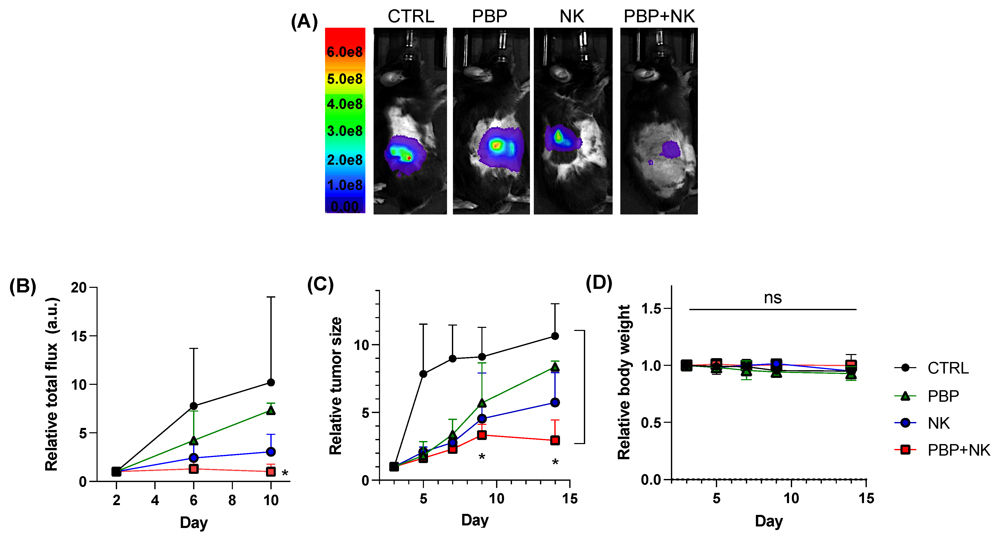 Pharmaceutics 13 01279 g004