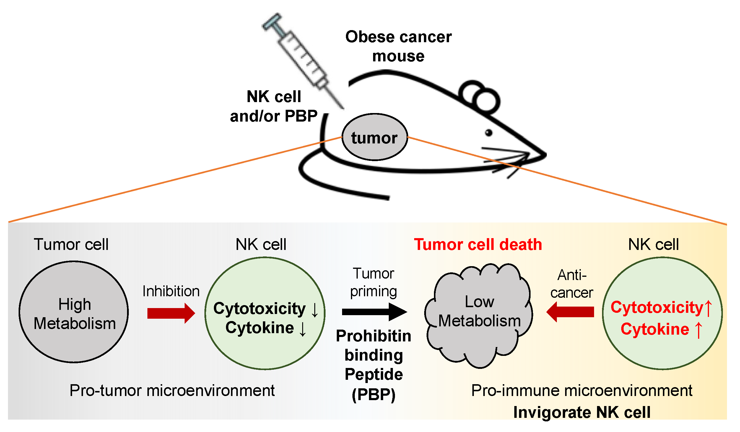 Pharmaceutics 13 01279 g007