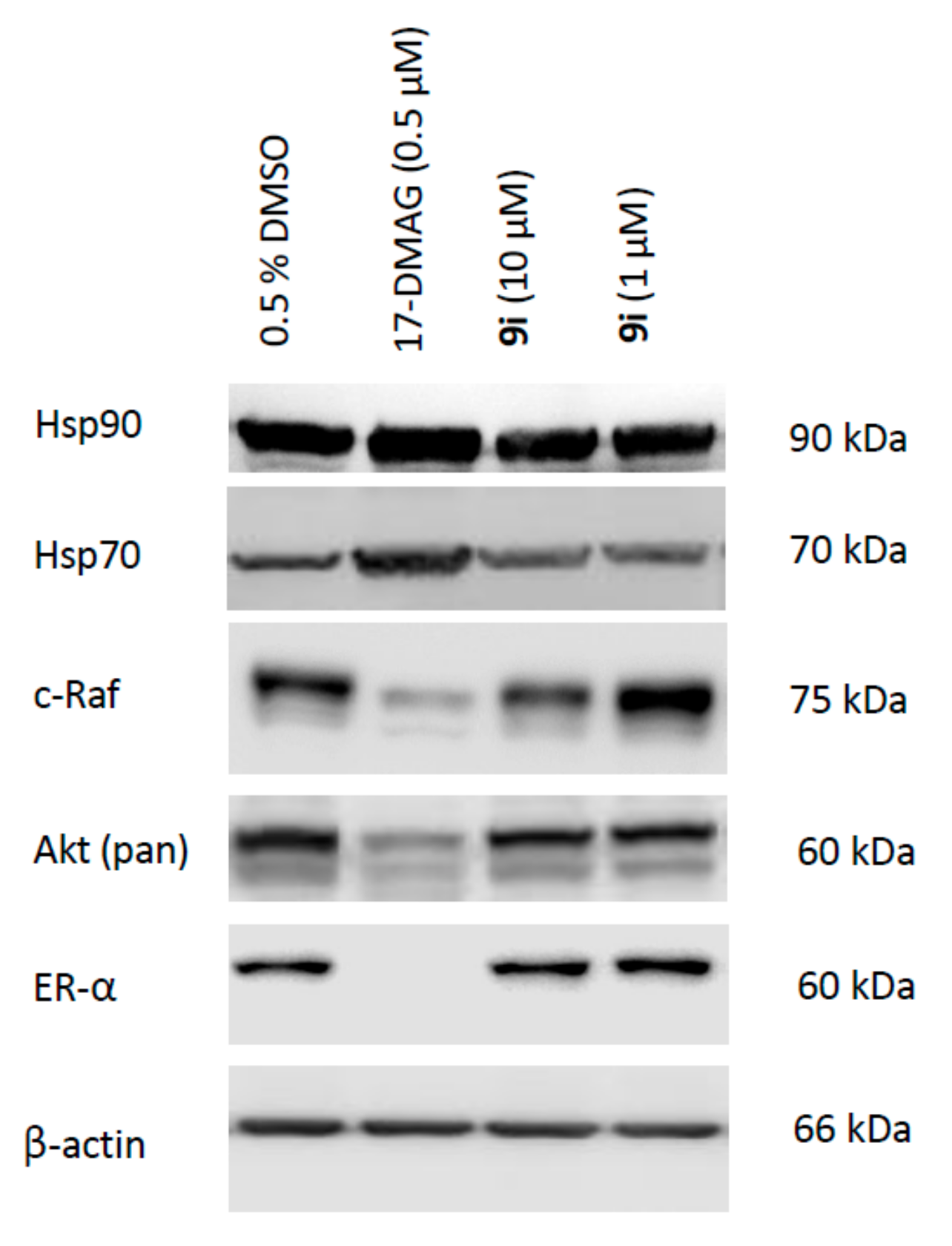 Pharmaceutics 13 01283 g005