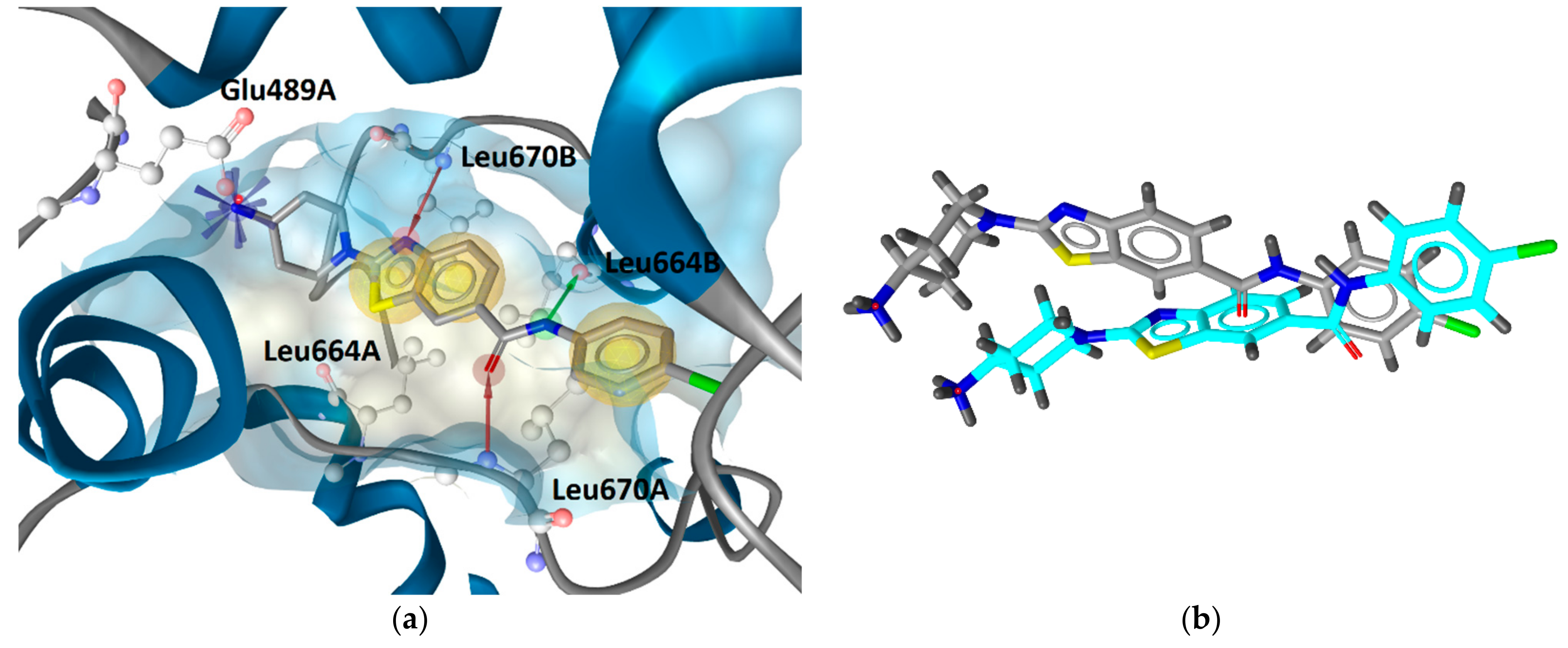 Pharmaceutics 13 01283 g009