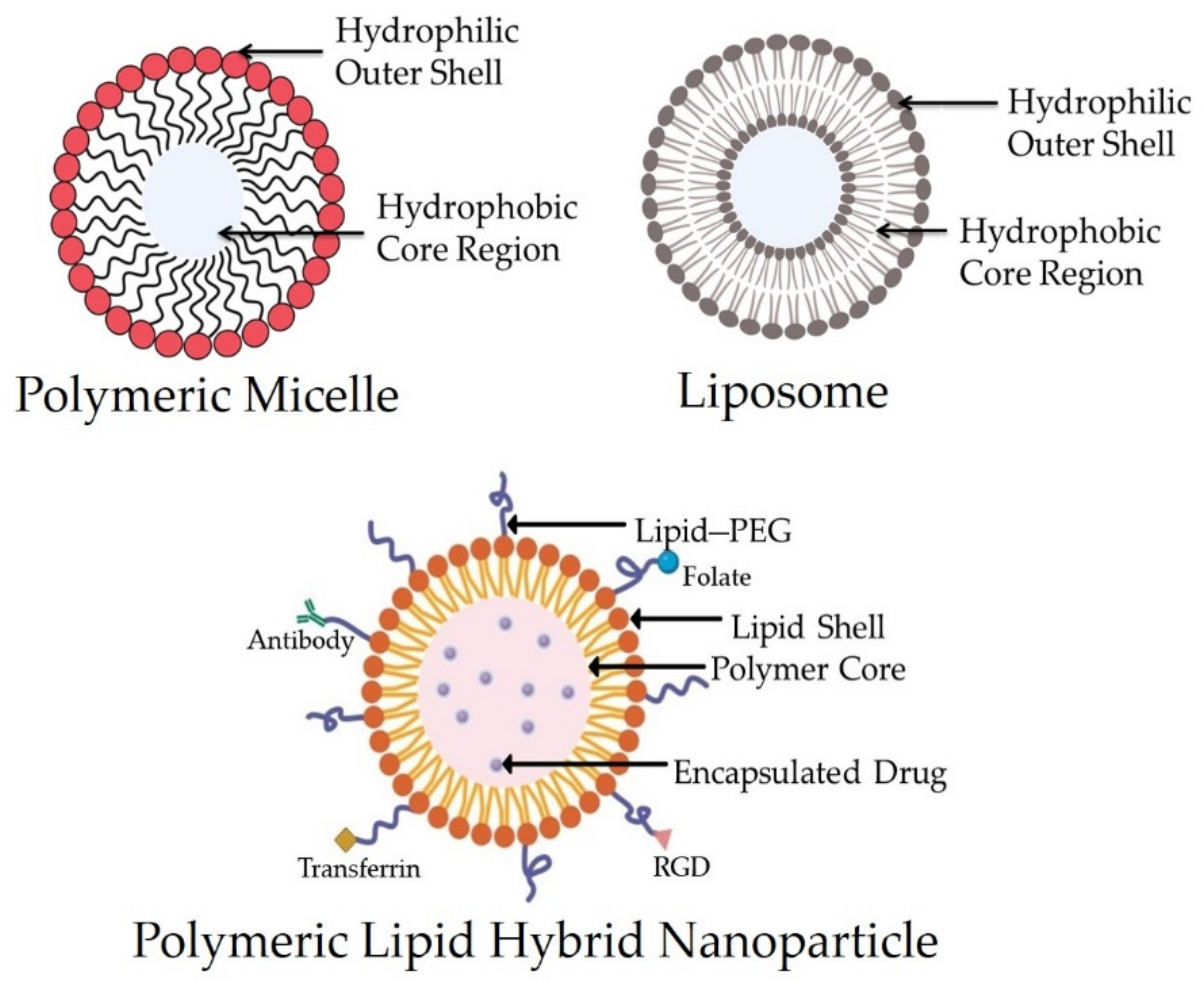 Pharmaceutics | Free Full-Text | Polymeric Lipid Hybrid Nanoparticles  (PLNs) as Emerging Drug Delivery Platform—A Comprehensive Review of Their  Properties, Preparation Methods, and Therapeutic Applications