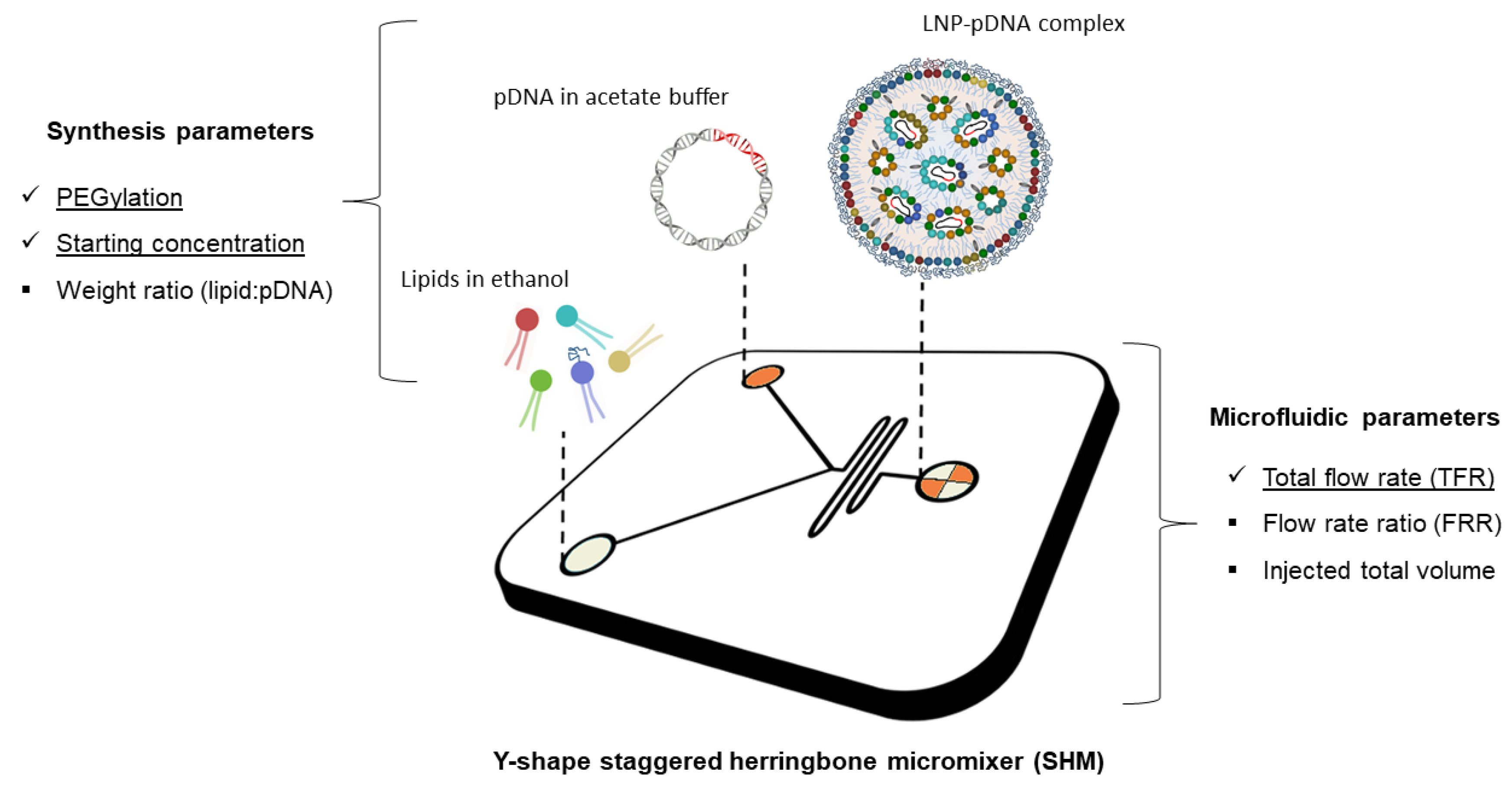Pharmaceutics 13 01292 g001 Pharmaceutics 13 01292 g001