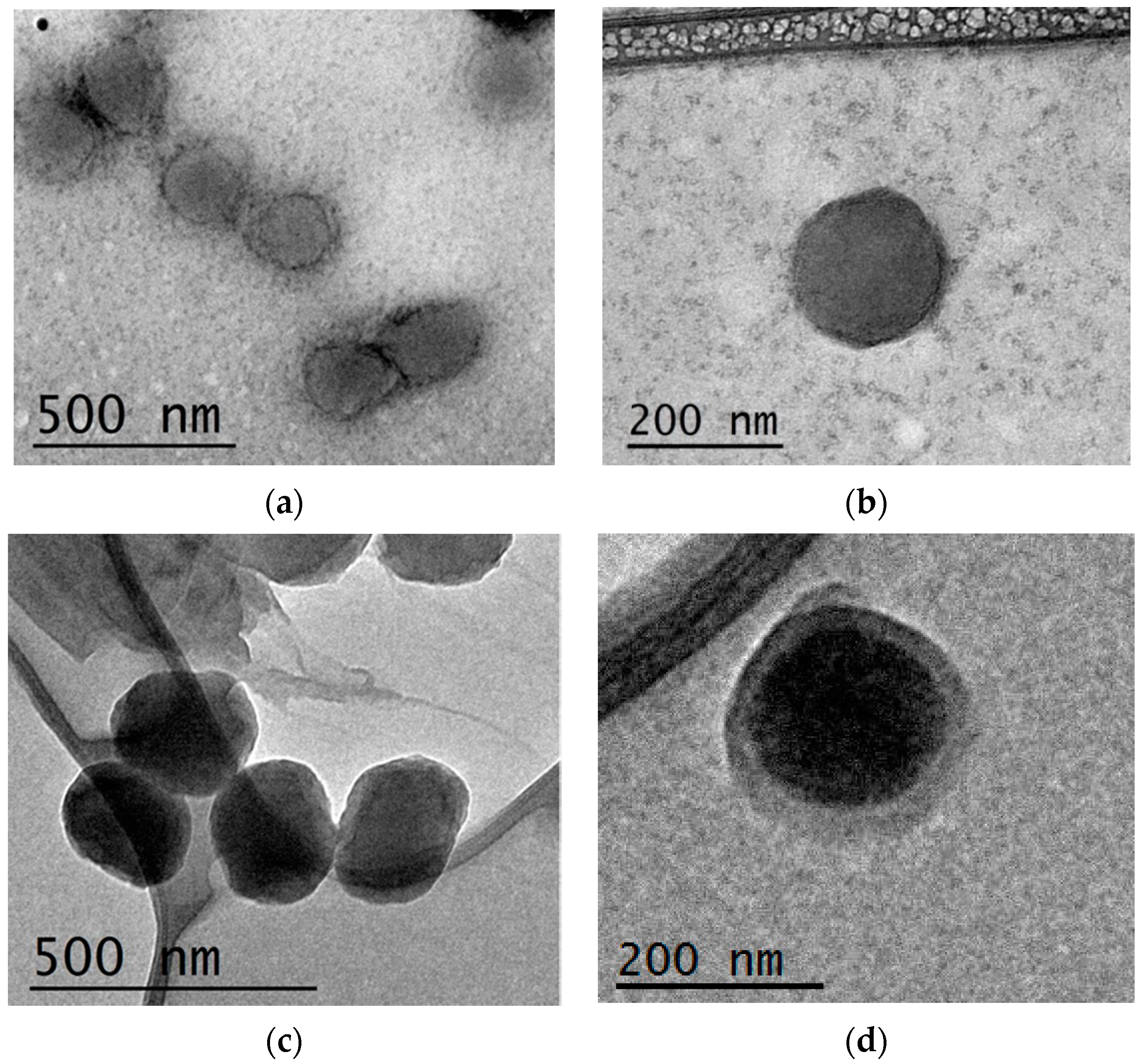 Pharmaceutics 13 01293 g006