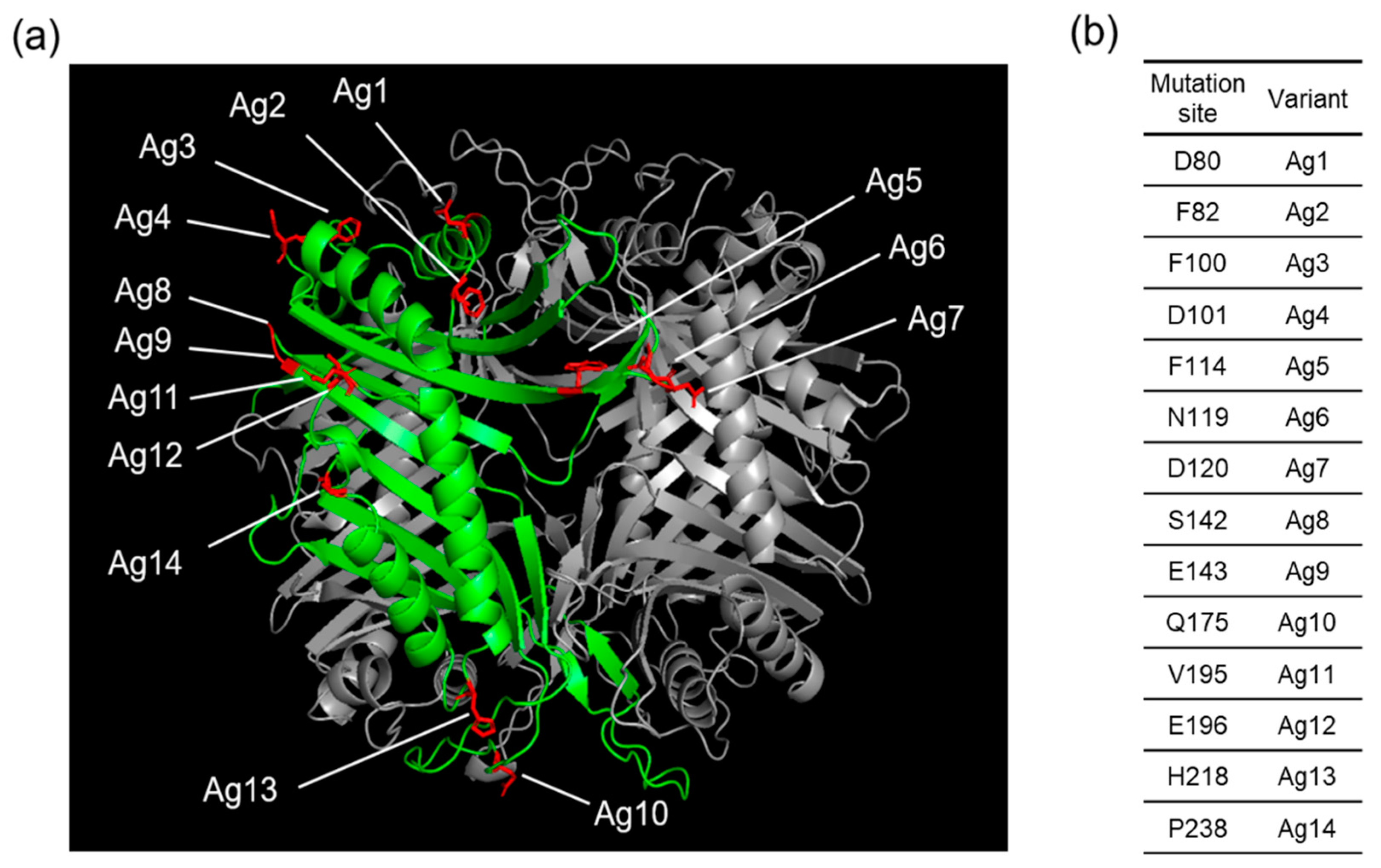 Pharmaceutics 13 01298 g001