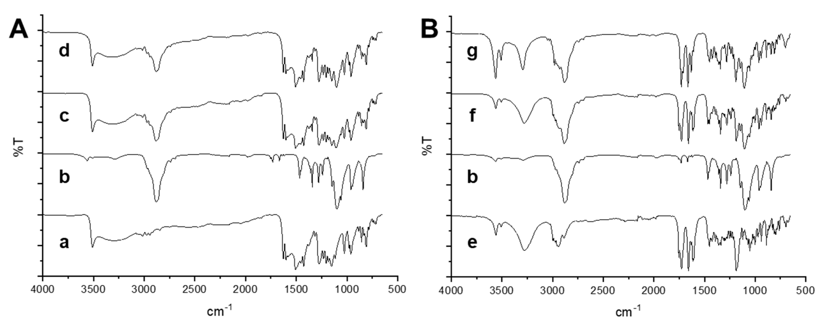 Pharmaceutics 13 01300 g004 550