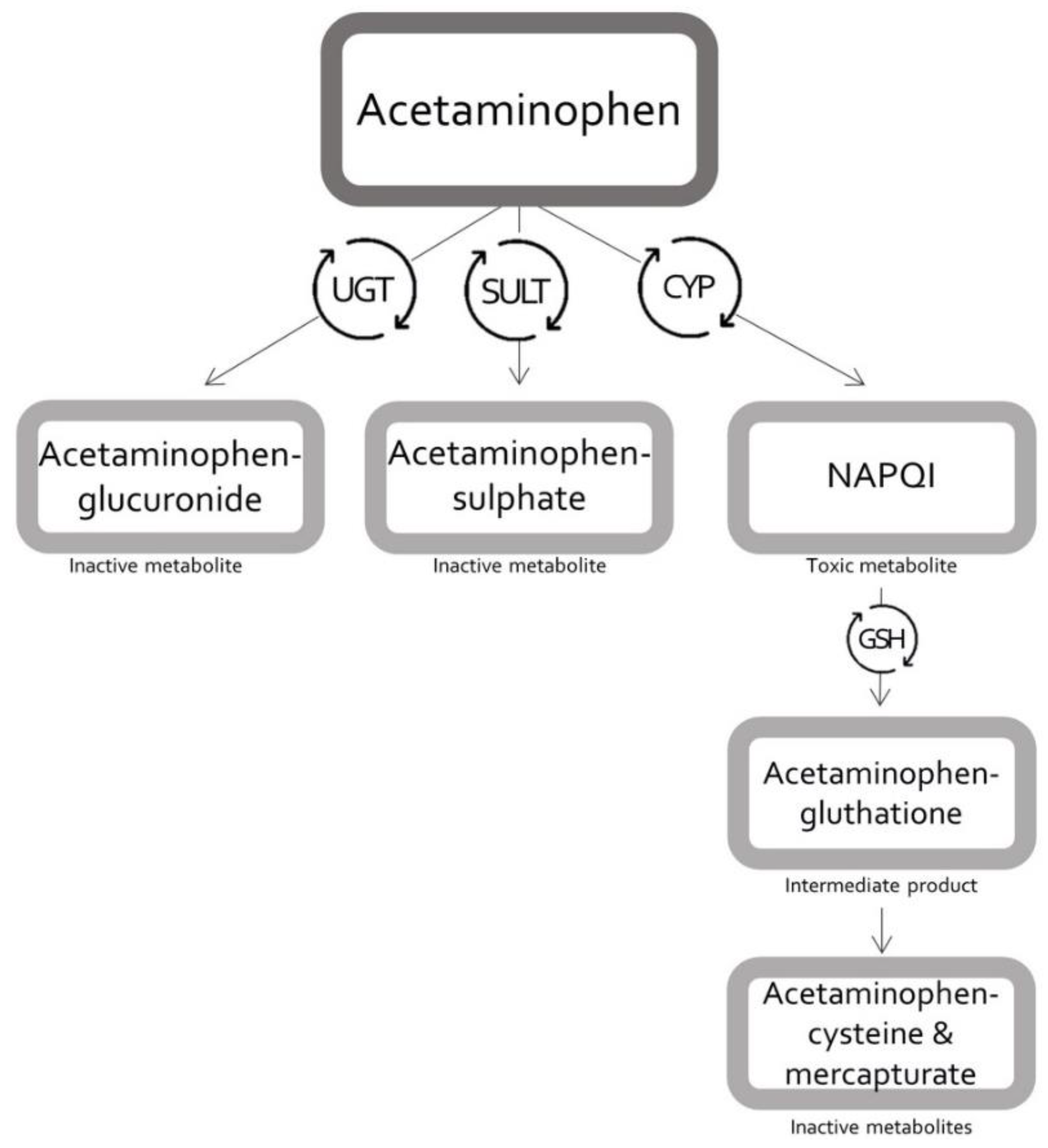 Pharmaceutics Free FullText Modelling Tools to Characterize