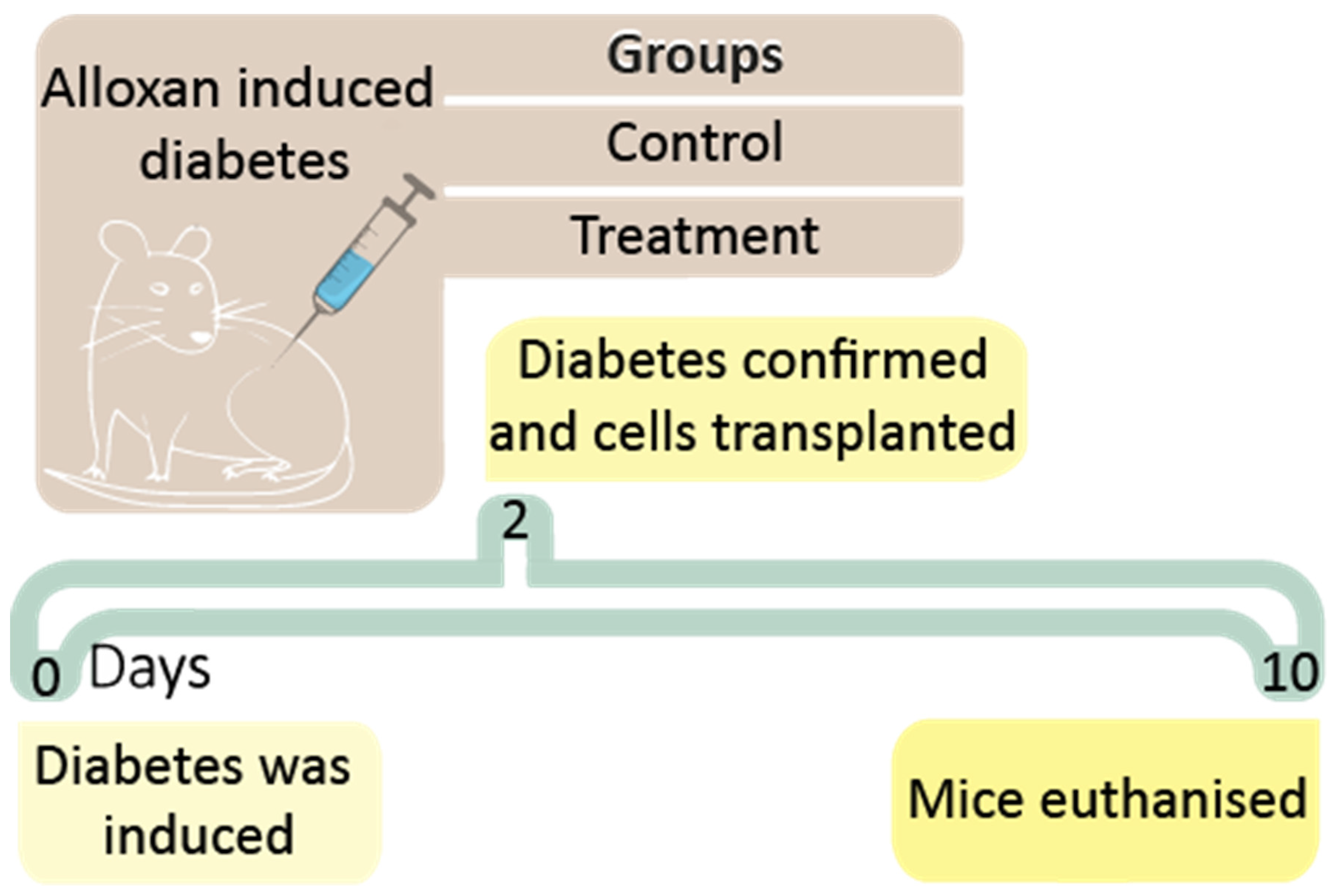 Pharmaceutics 13 01304 g002 550