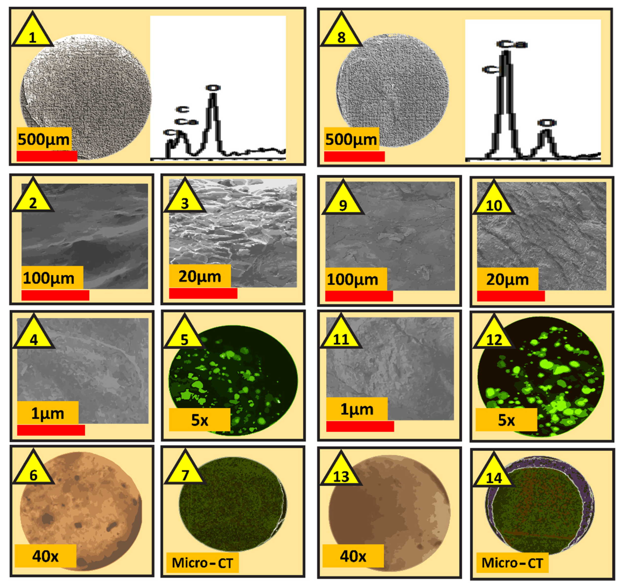 Pharmaceutics 13 01304 g003 550