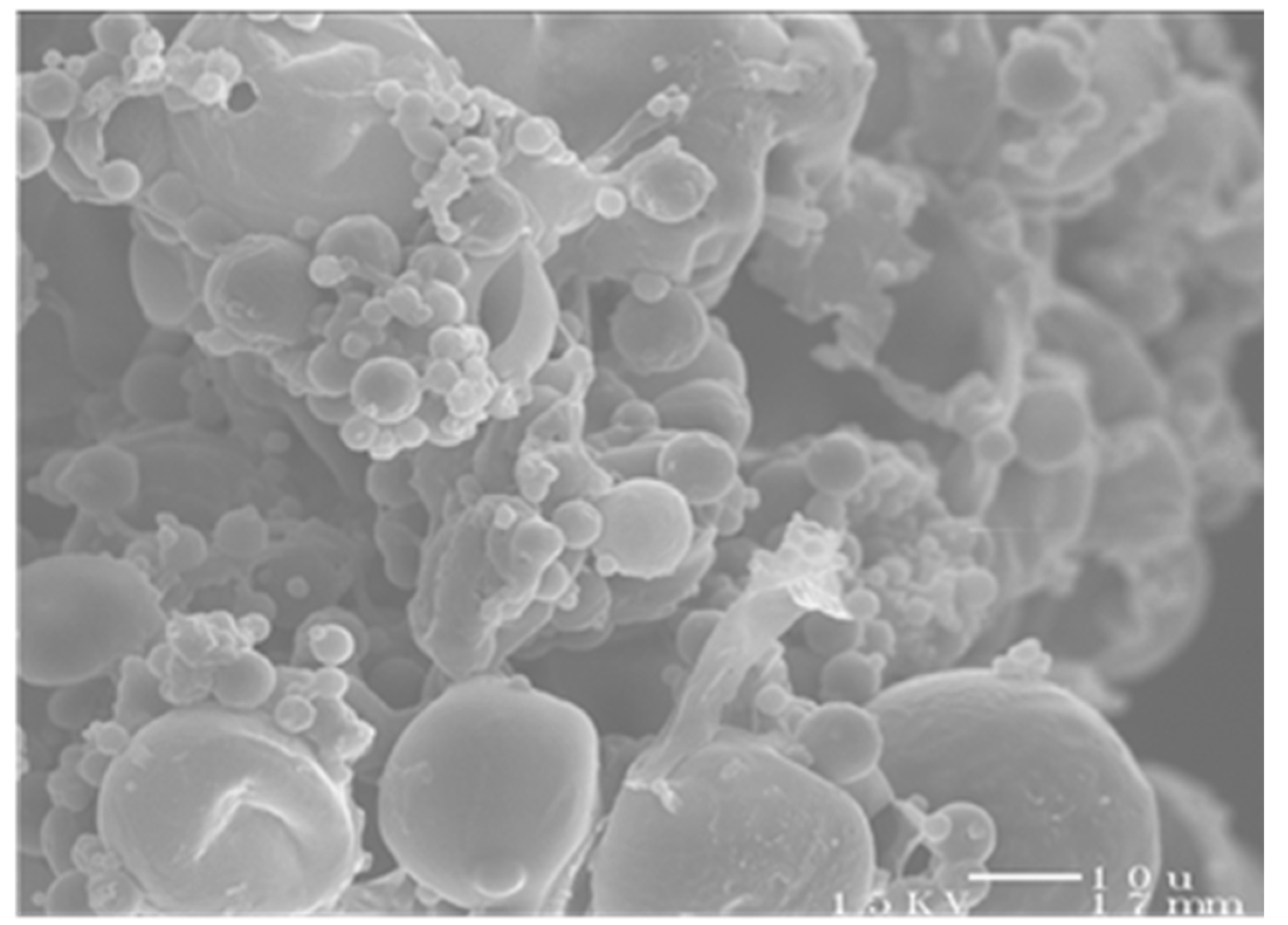 Pharmaceutics 13 01309 g001