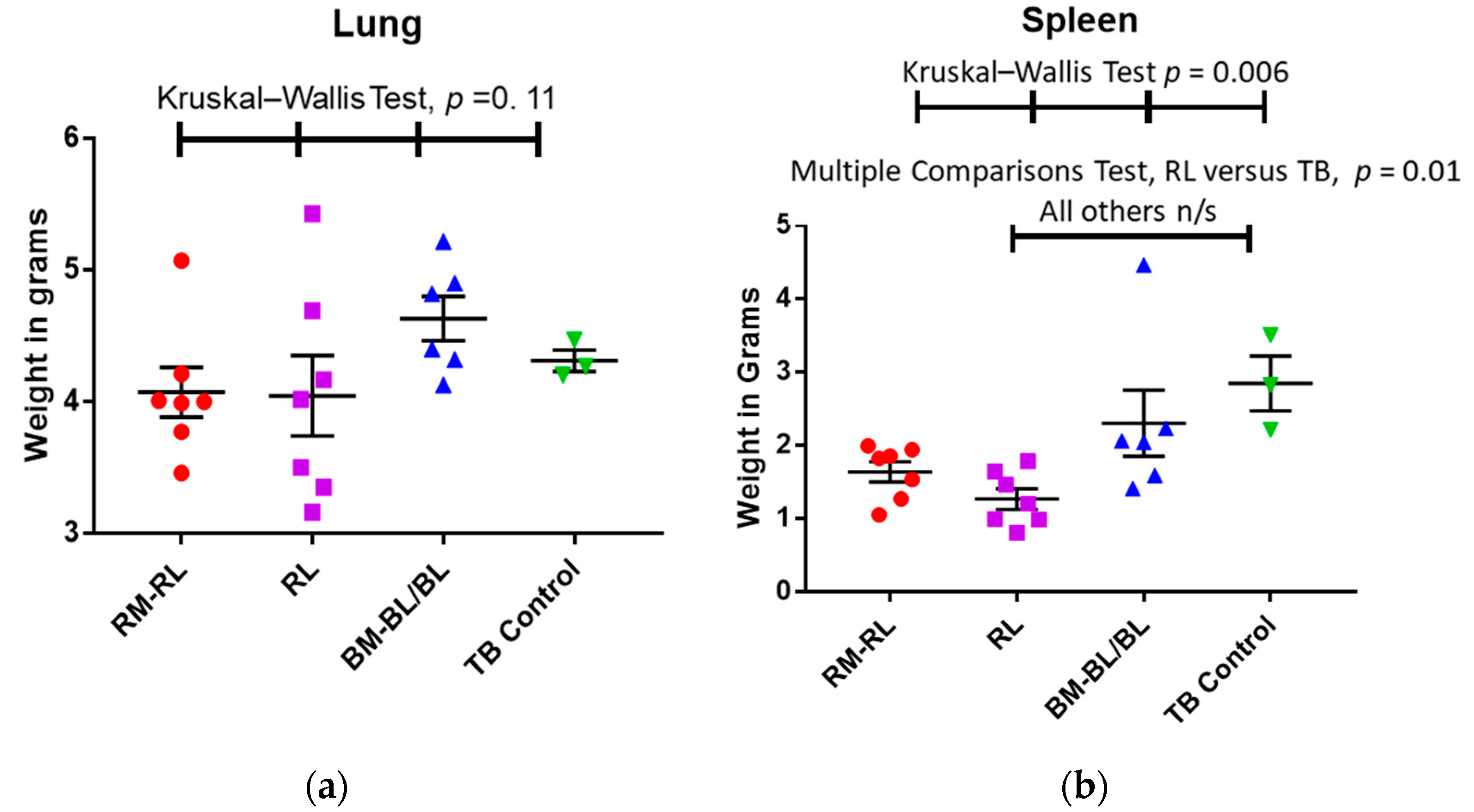 Pharmaceutics 13 01309 g002