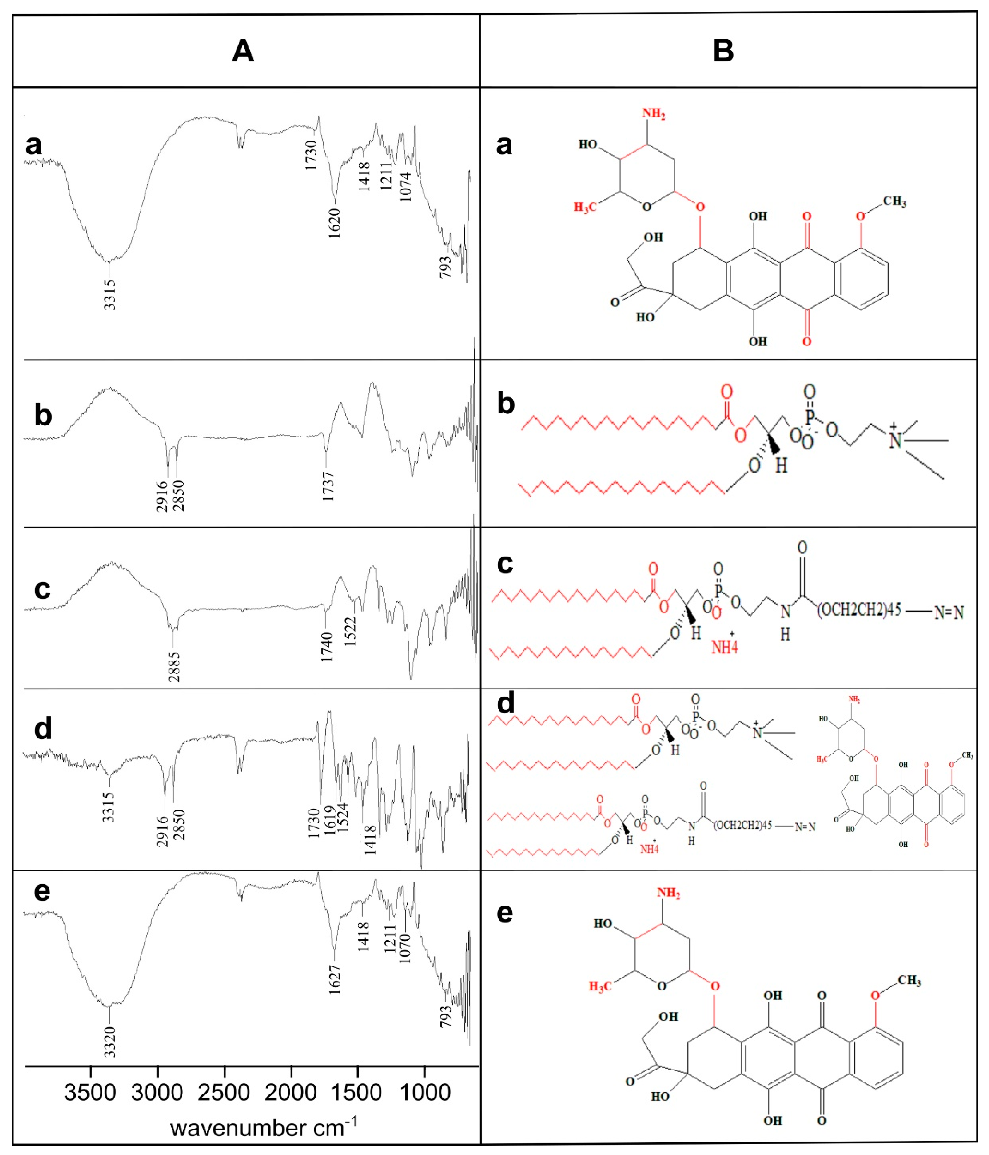 Pharmaceutics 13 01310 g003 550