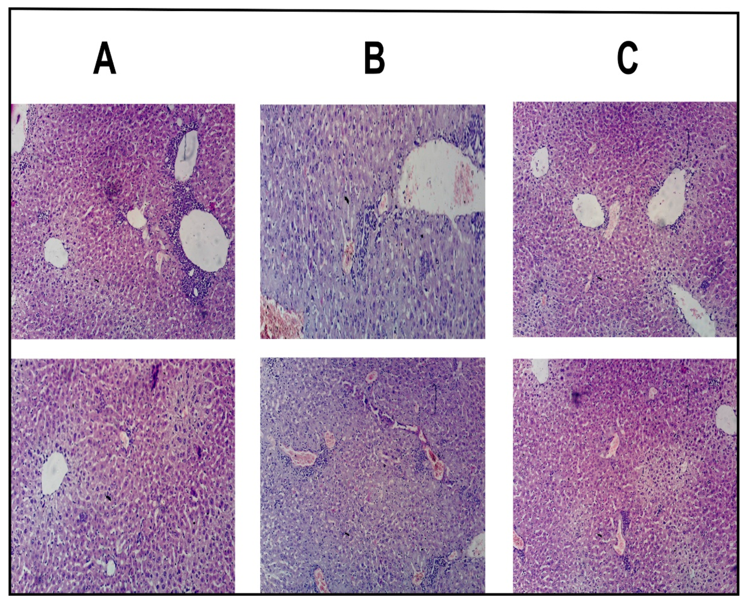 Pharmaceutics 13 01310 g007 550