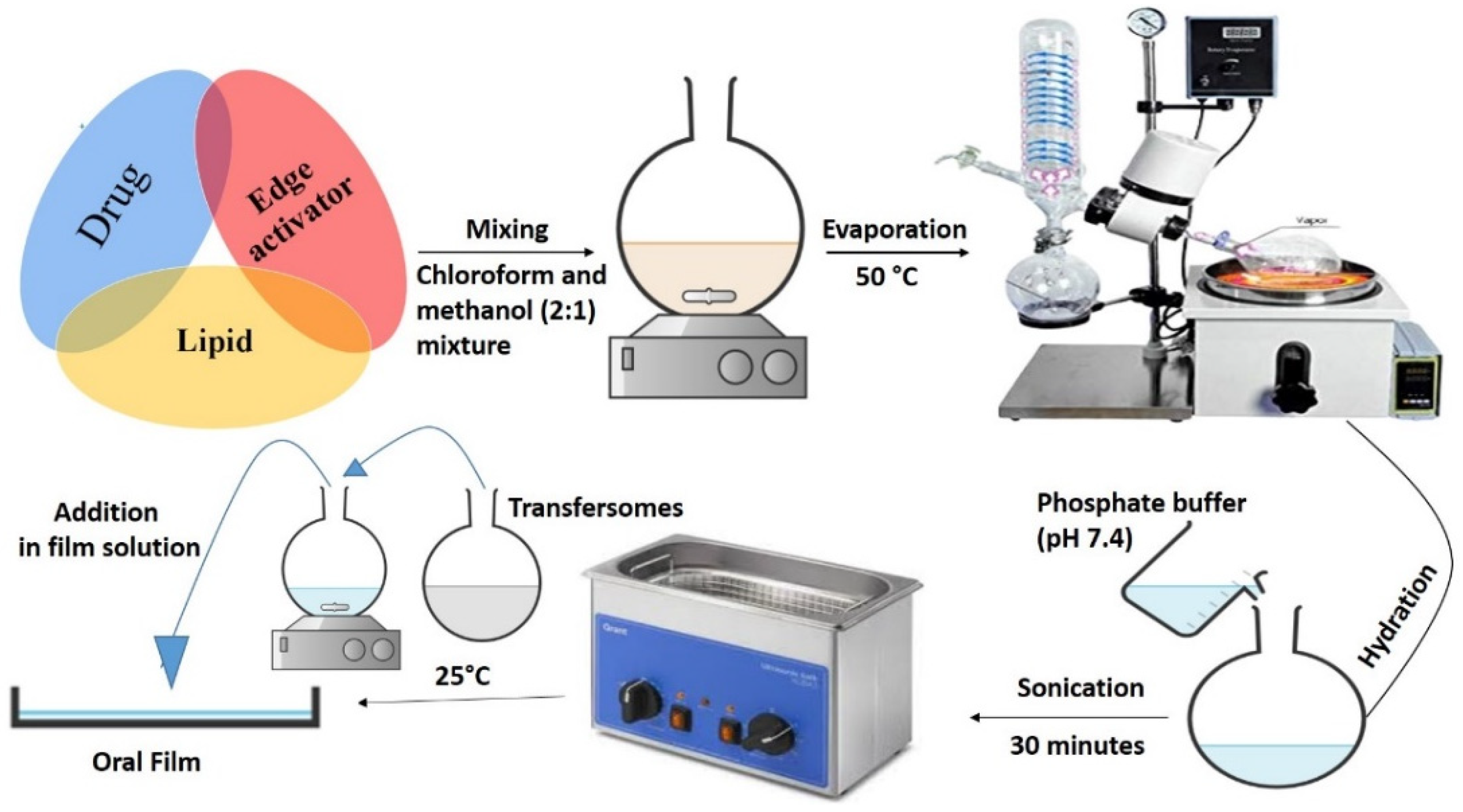Pharmaceutics 13 01315 g001