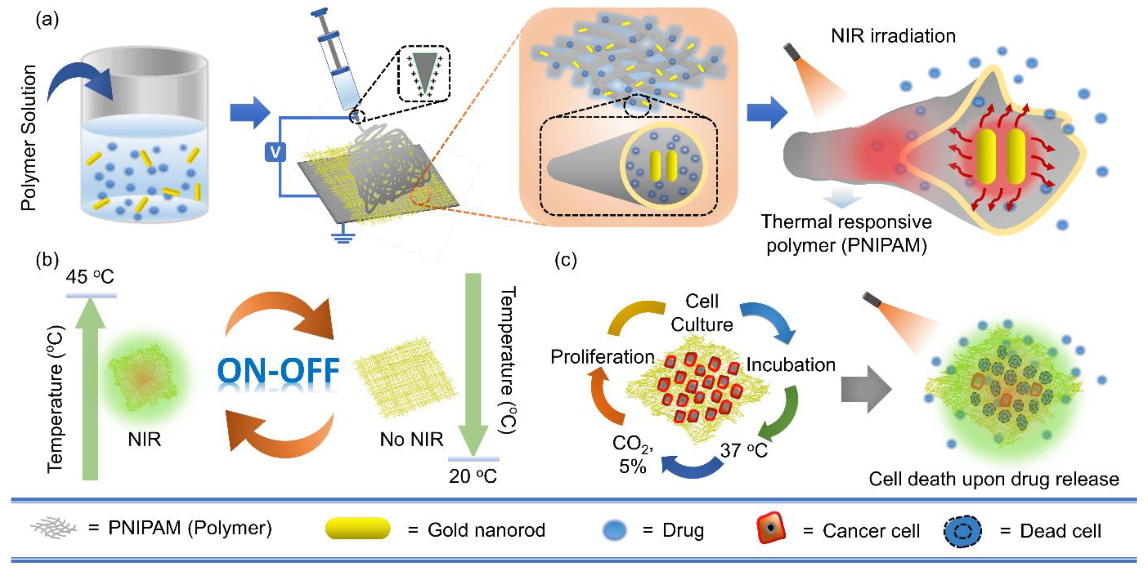 Pharmaceutics 13 01319 sch001