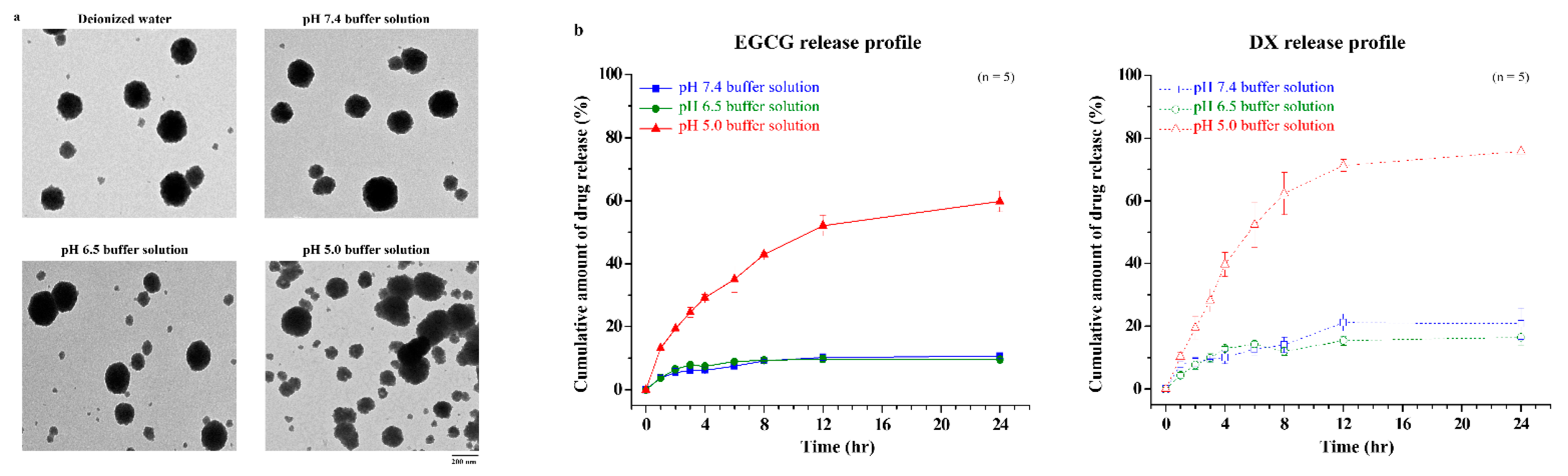 Pharmaceutics 13 01327 g002 550