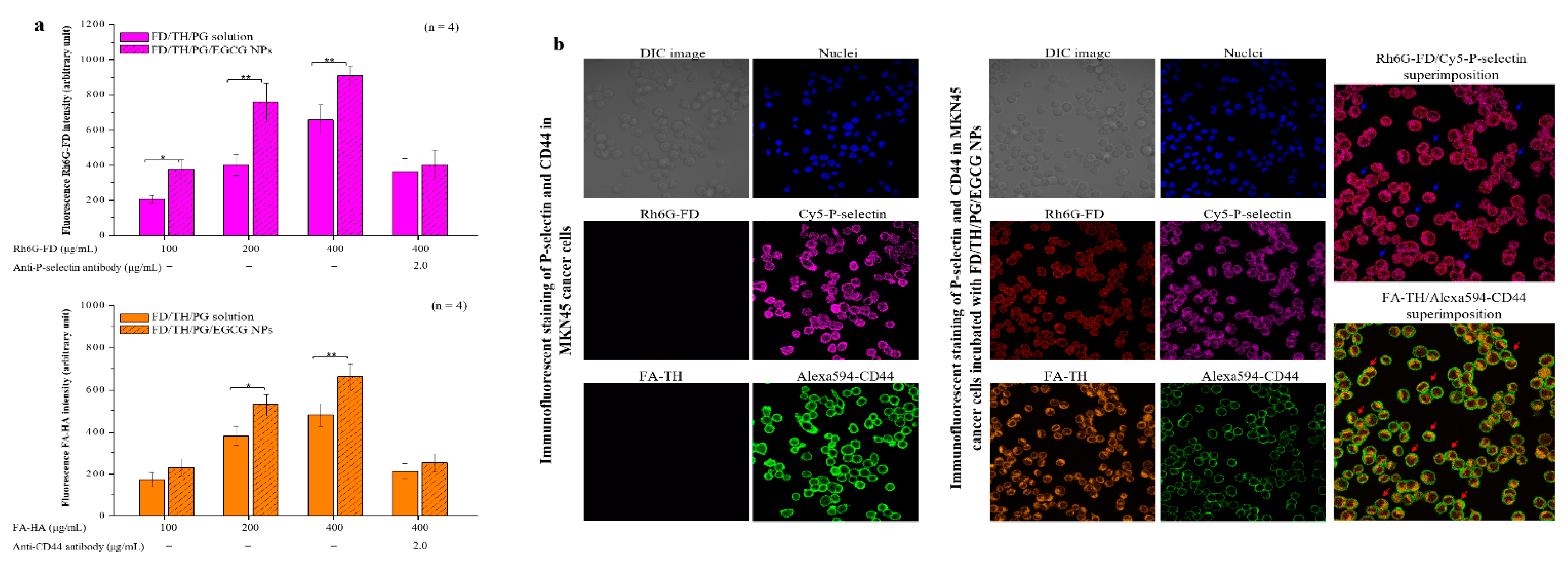 Pharmaceutics 13 01327 g003 550