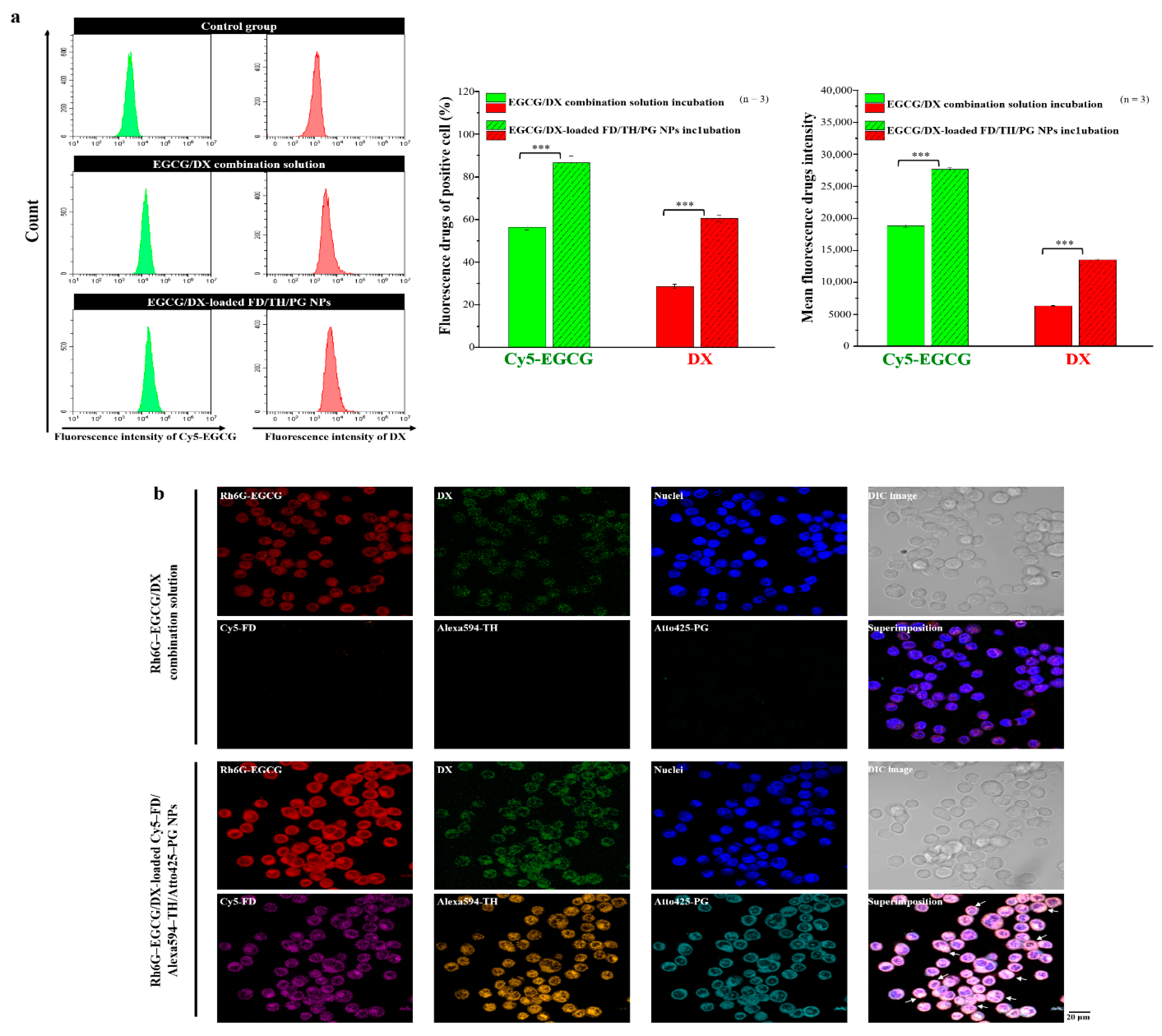 Pharmaceutics 13 01327 g005 550