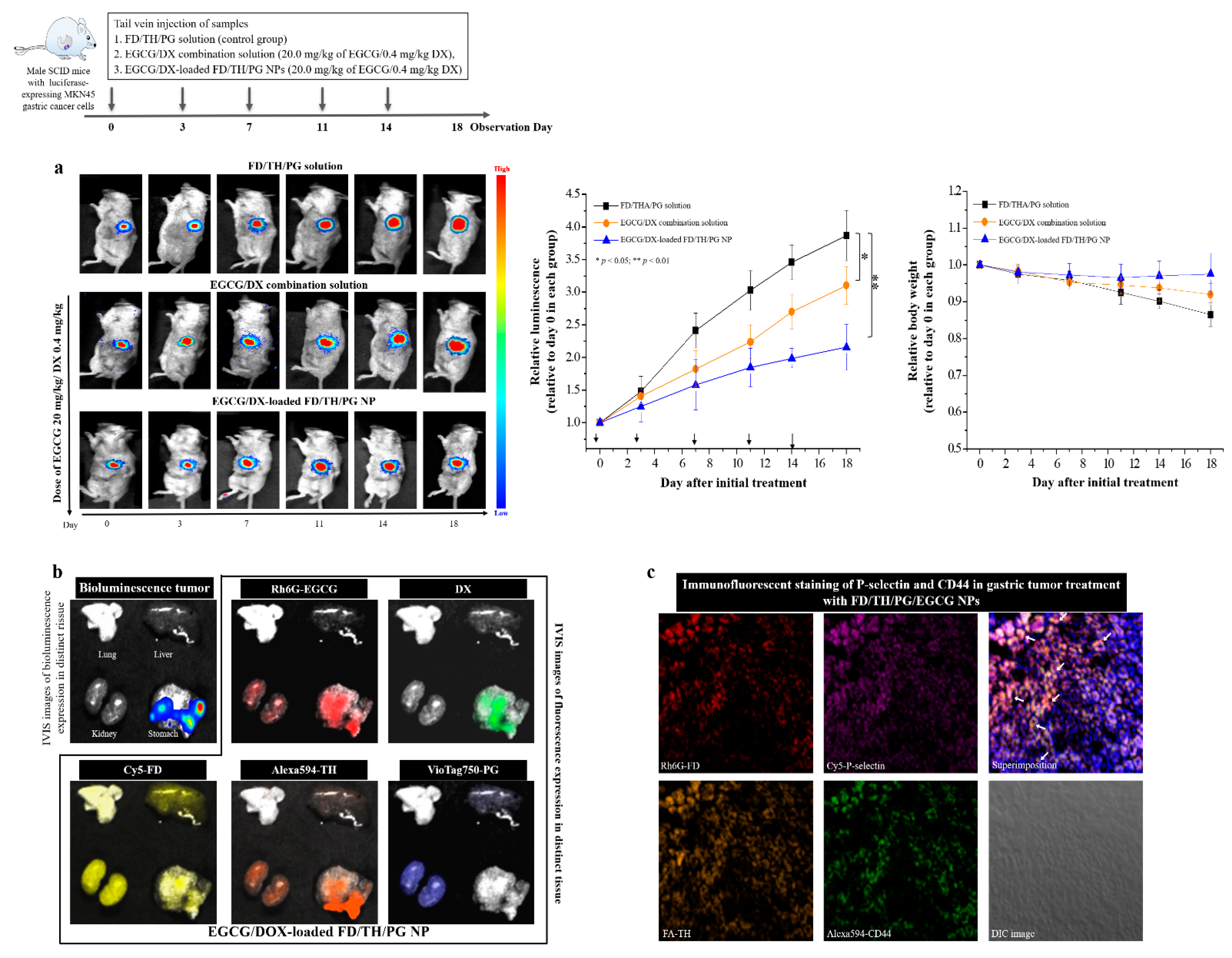 Pharmaceutics 13 01327 g007 550