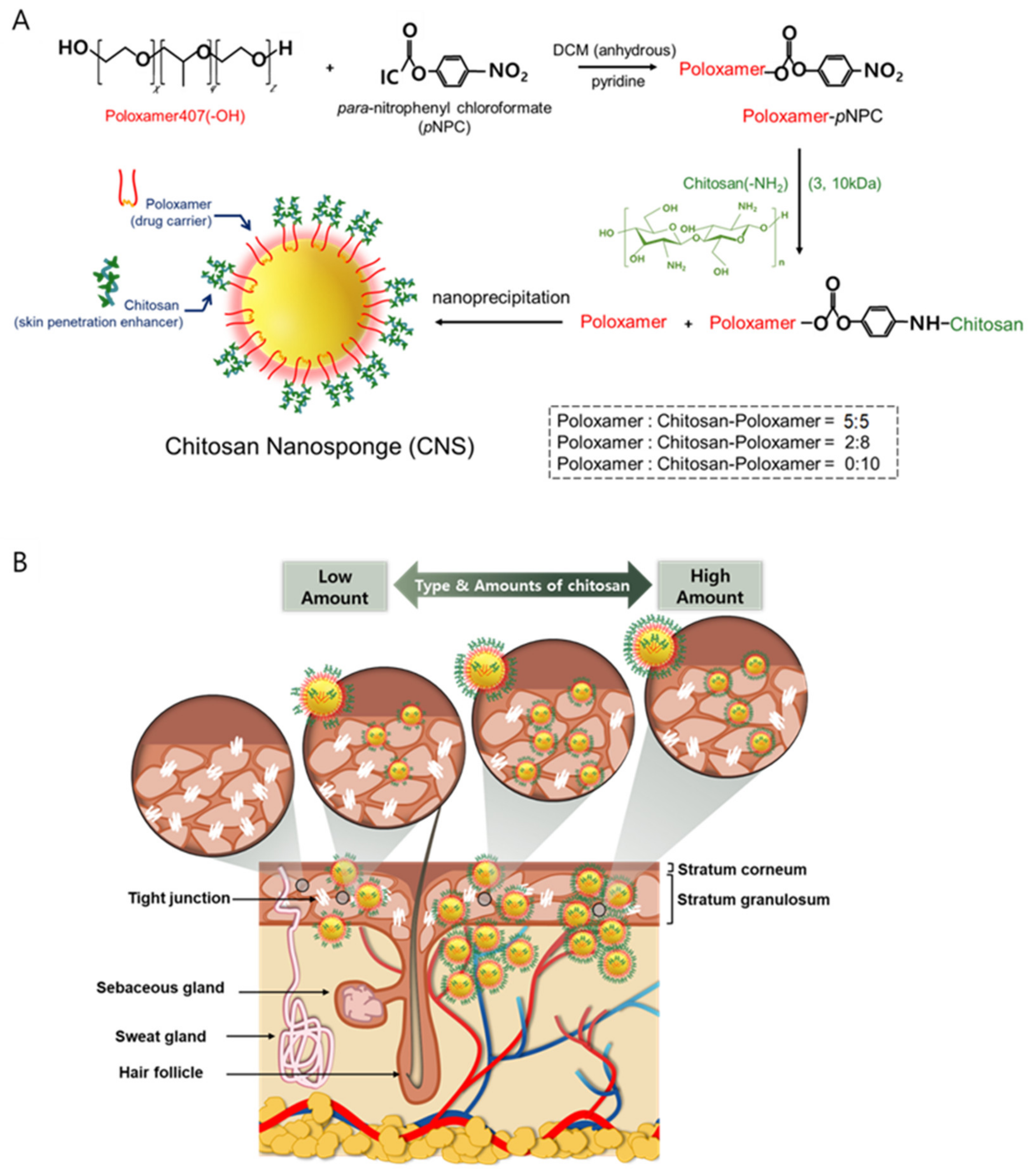 Pharmaceutics 13 01329 g001