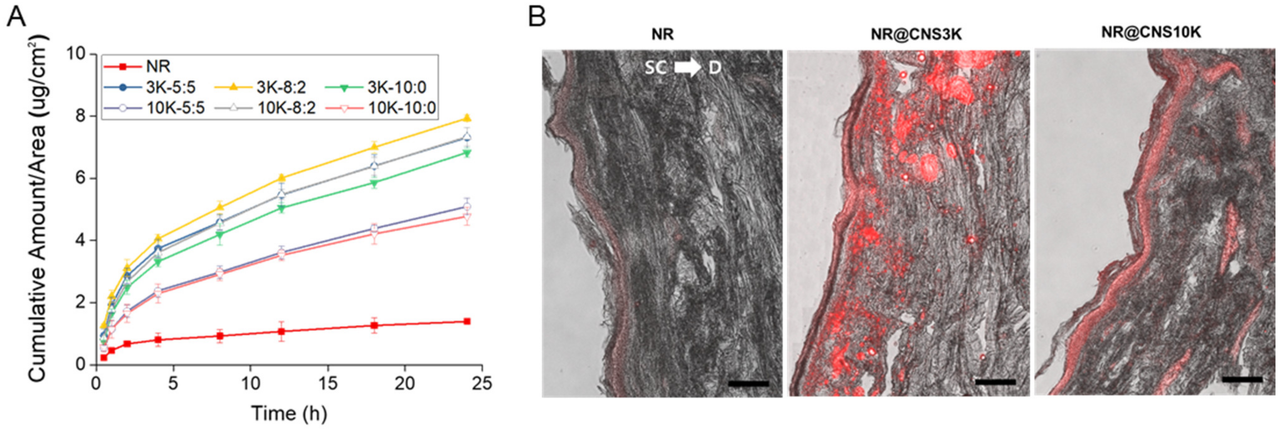 Pharmaceutics 13 01329 g006