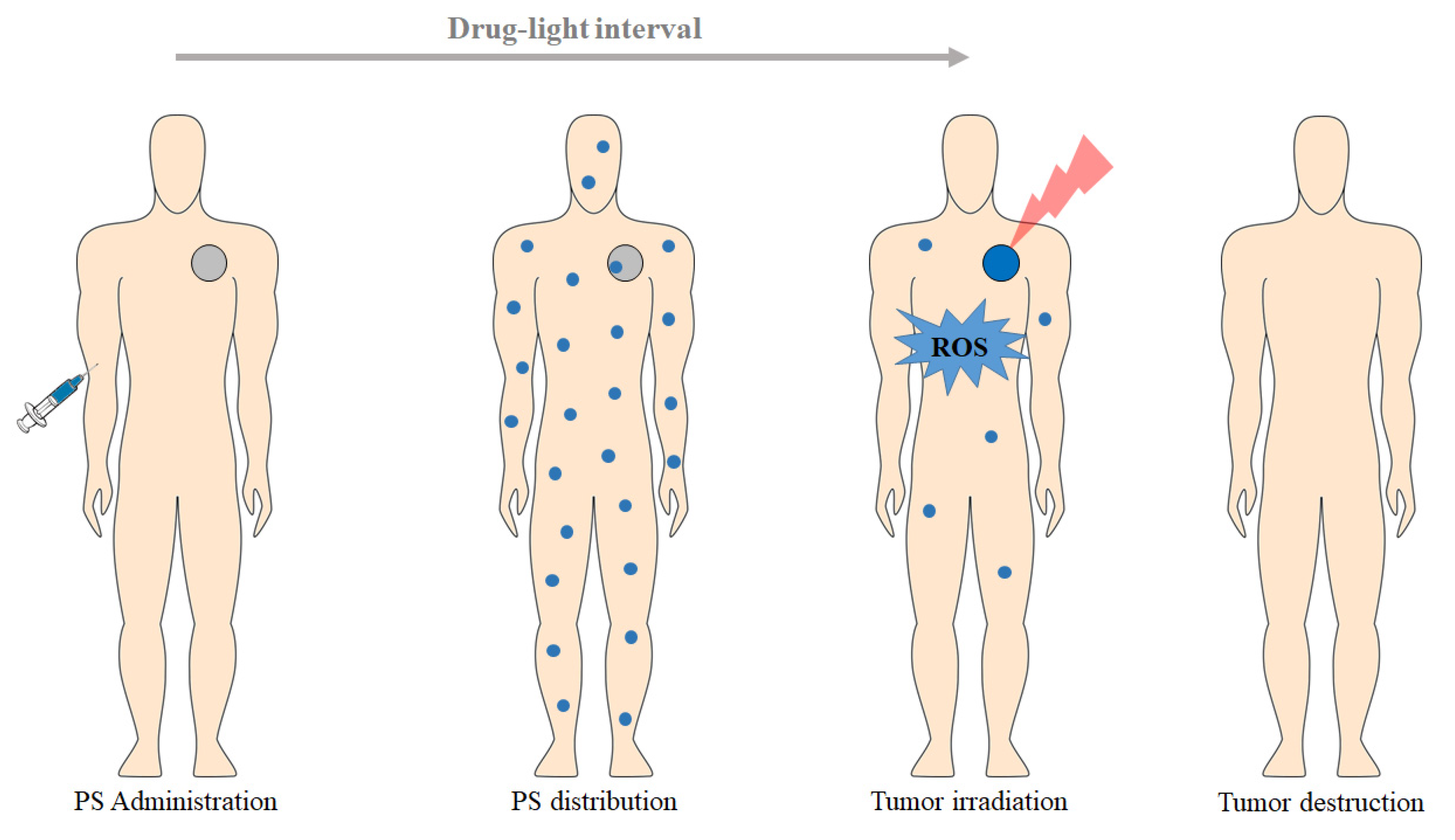 Pharmaceutics 13 01332 g001