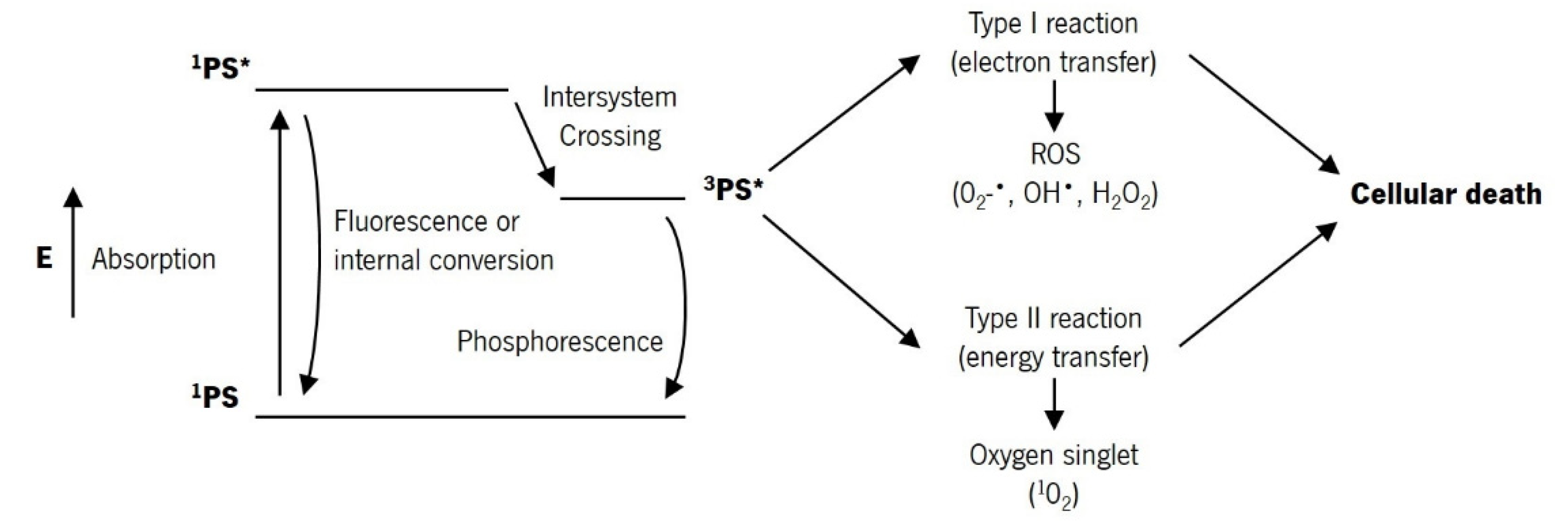Pharmaceutics 13 01332 g002