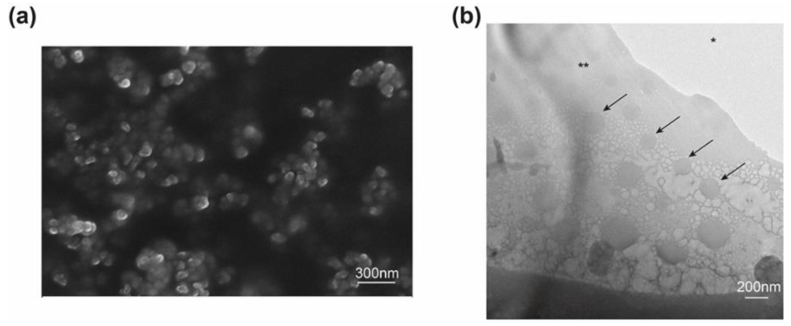 Pharmaceutics 13 01335 g001 Pharmaceutics 13 01335 g001