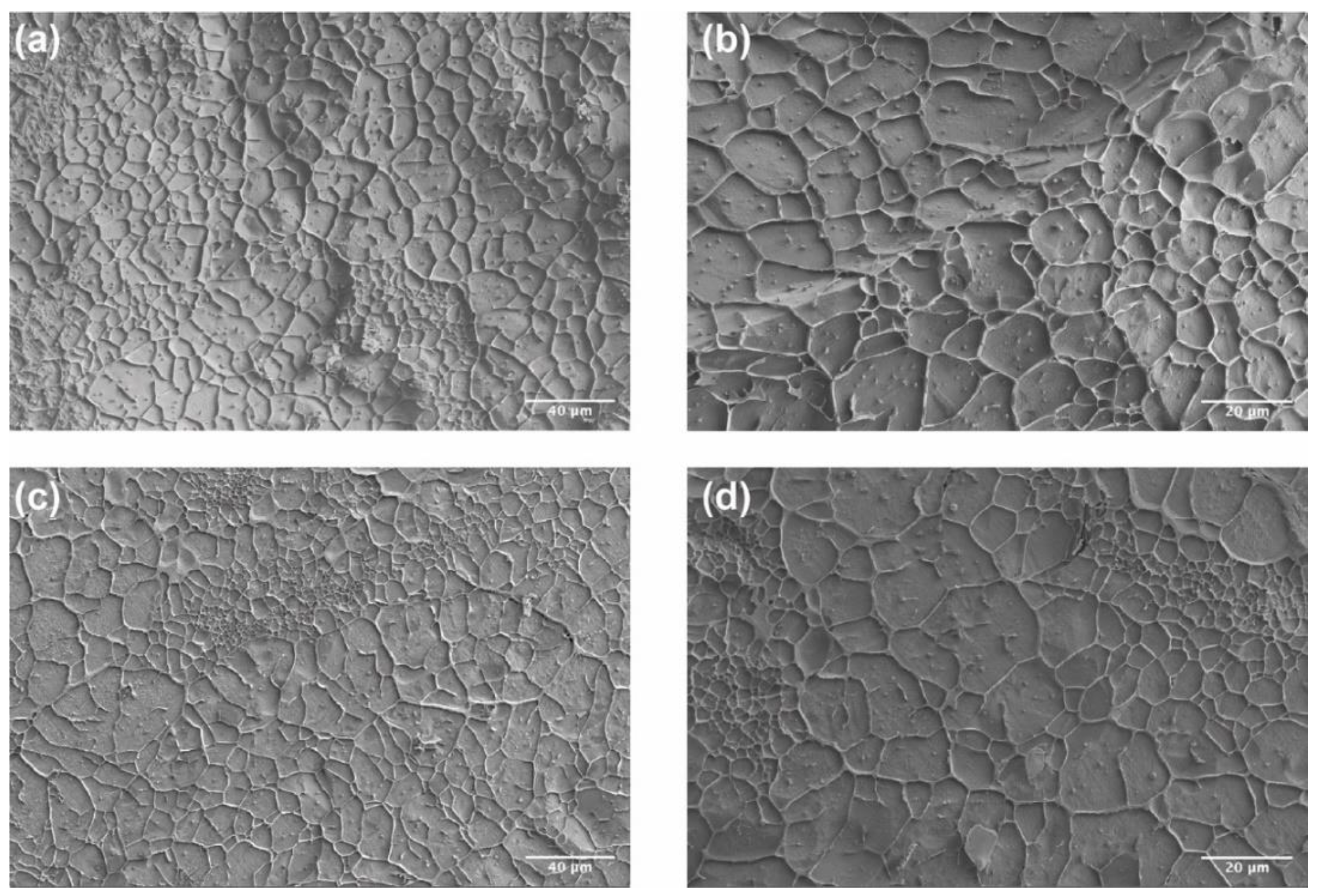 Pharmaceutics 13 01335 g005 Pharmaceutics 13 01335 g005