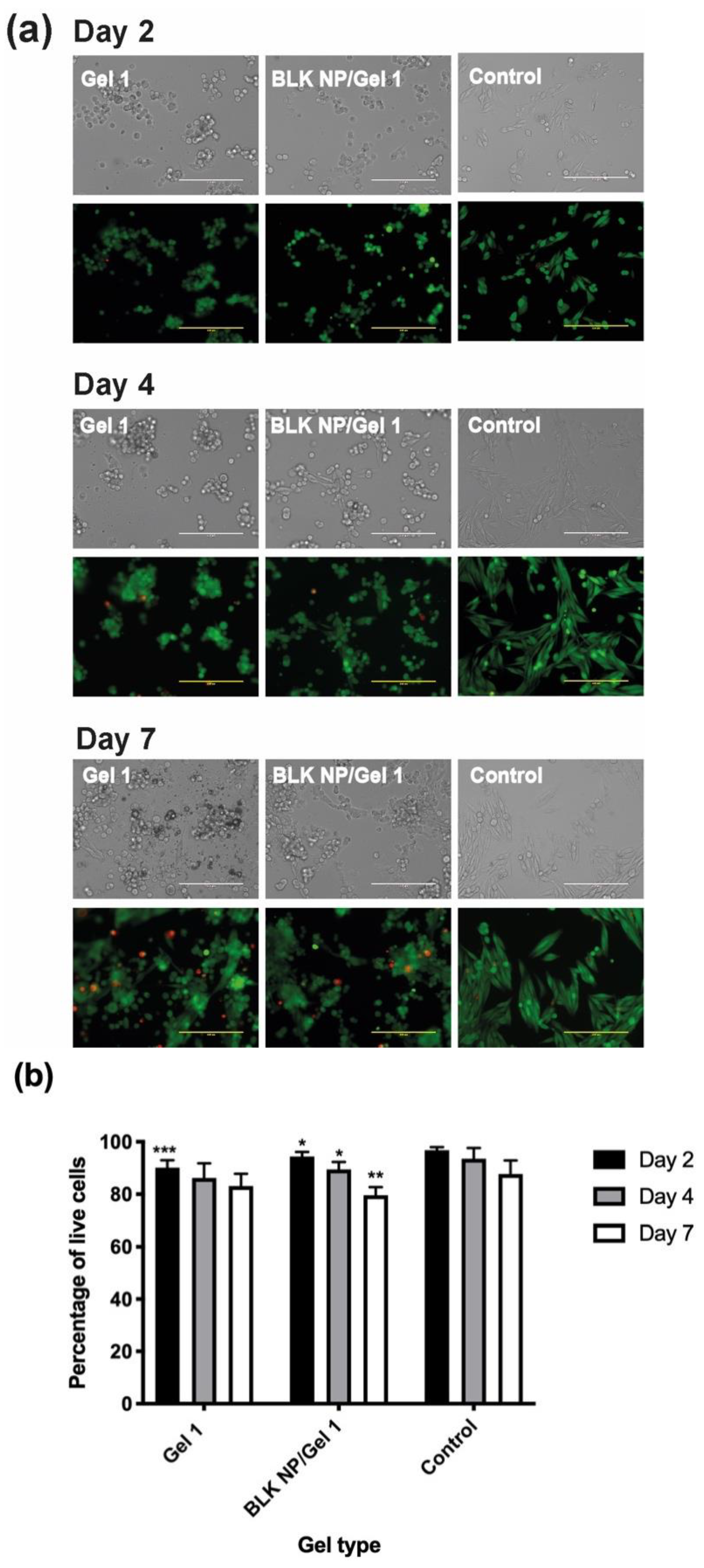 Pharmaceutics 13 01335 g010 Pharmaceutics 13 01335 g010
