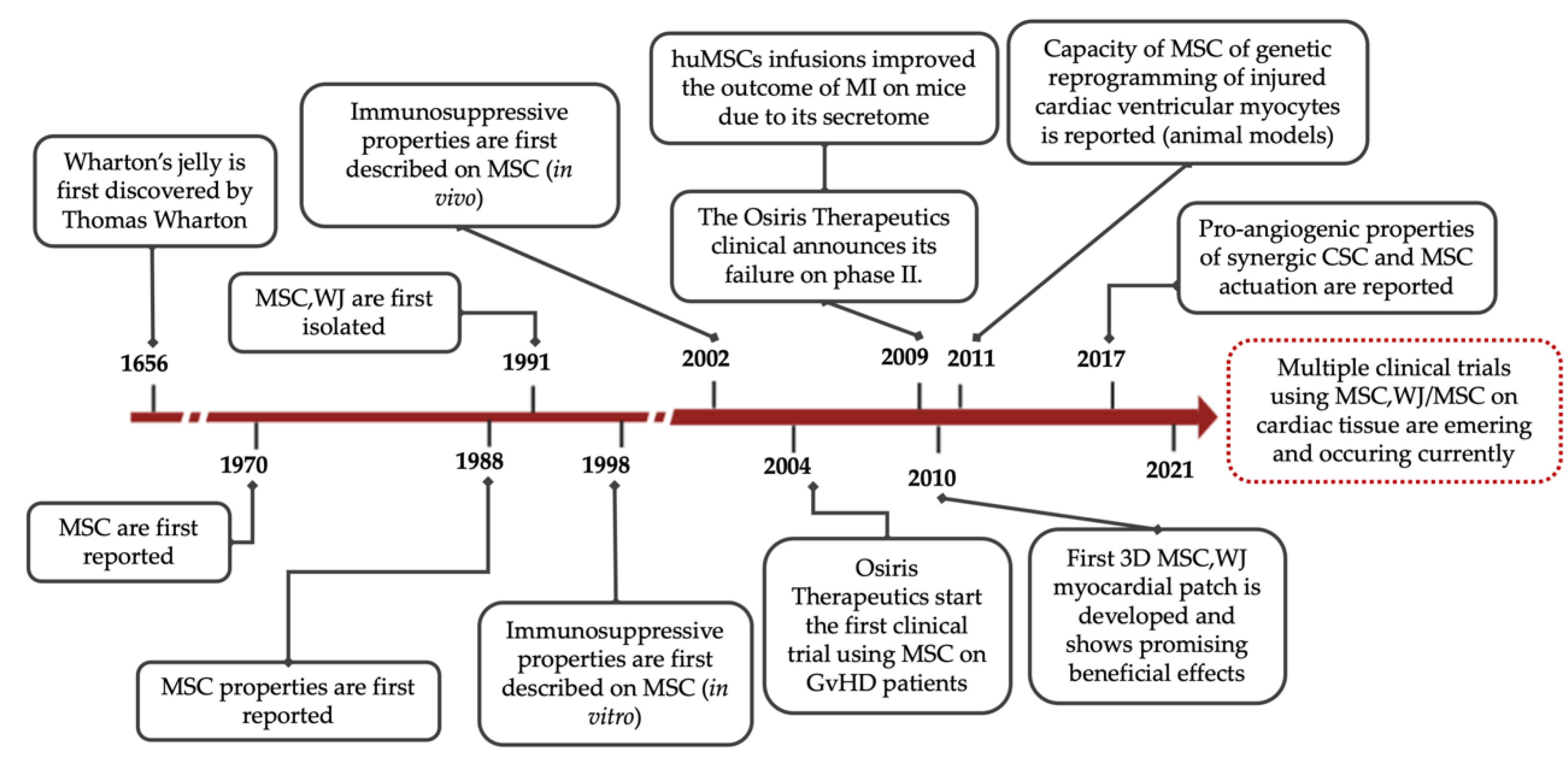 Pharmaceutics 13 01336 g001