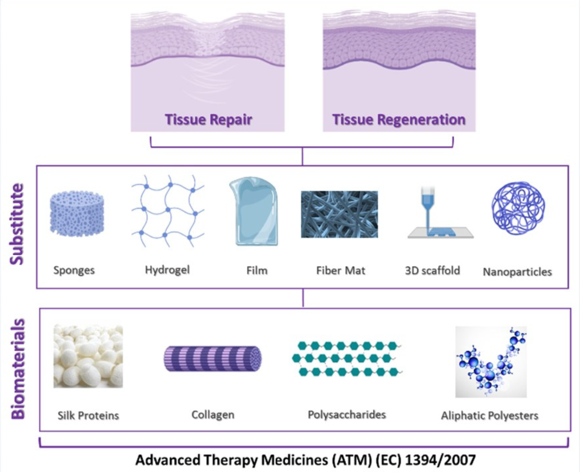 Pharmaceutics Free FullText Biomaterials for Soft Tissue Repair