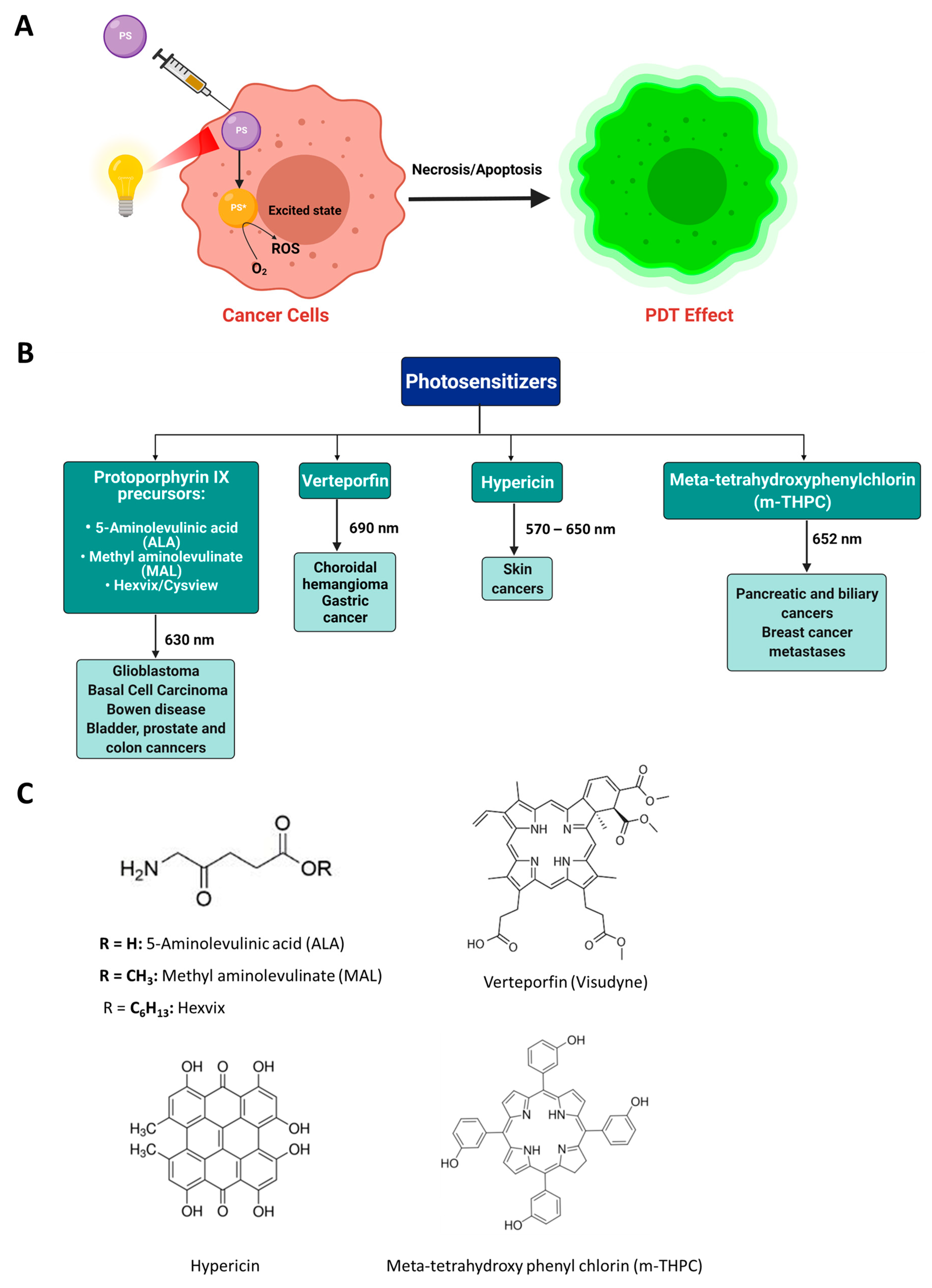 Pharmaceutics 13 01345 g002