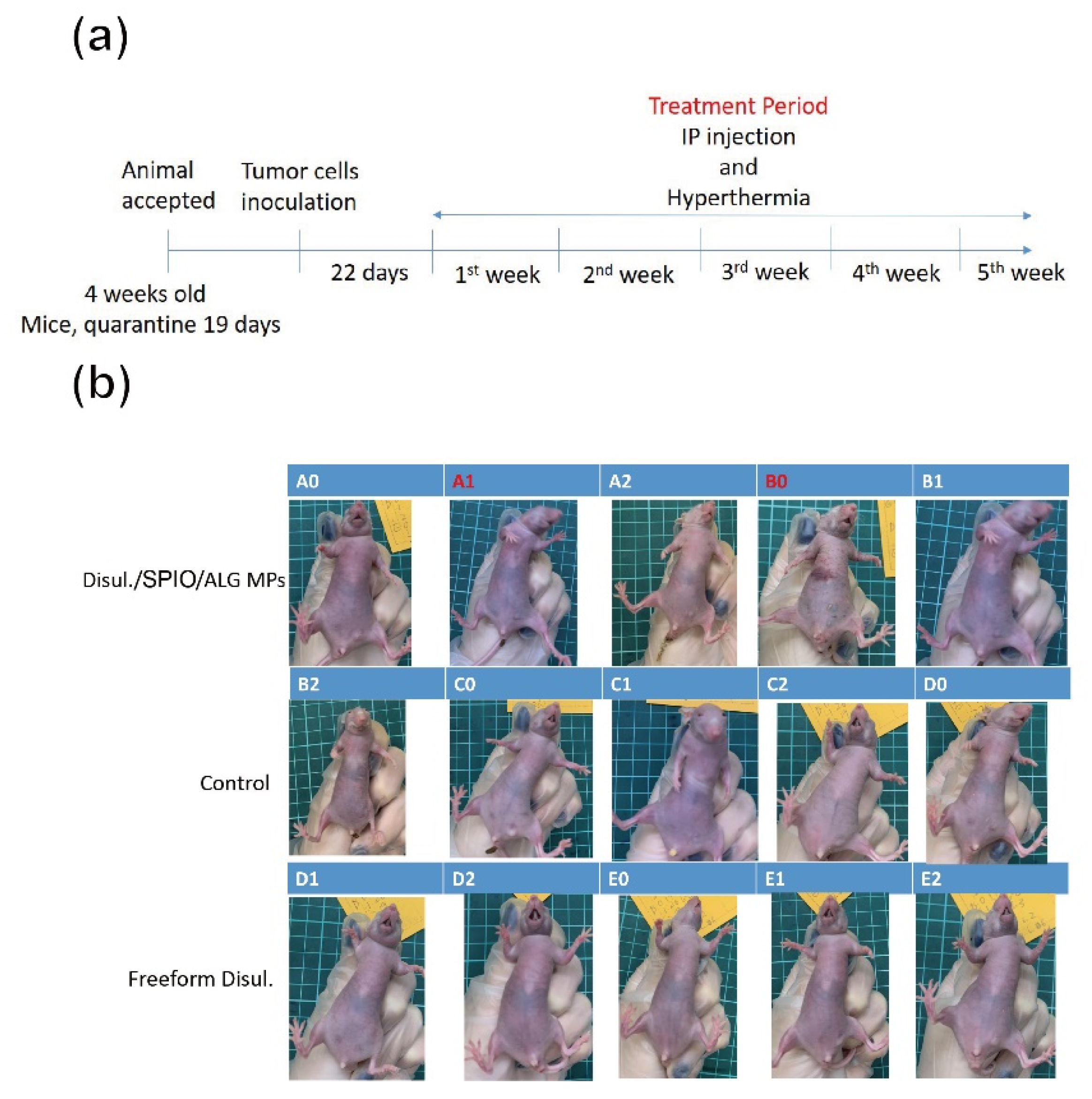 Pharmaceutics 13 01348 g005 550