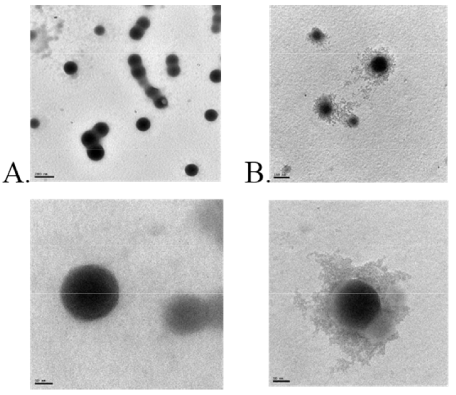 Pharmaceutics 13 01354 g005 550