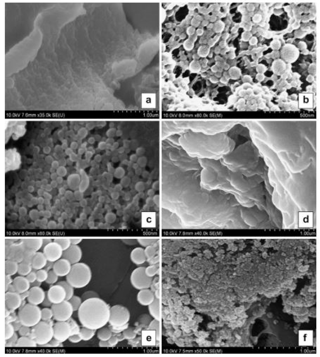 Pharmaceutics 13 01354 g007 550