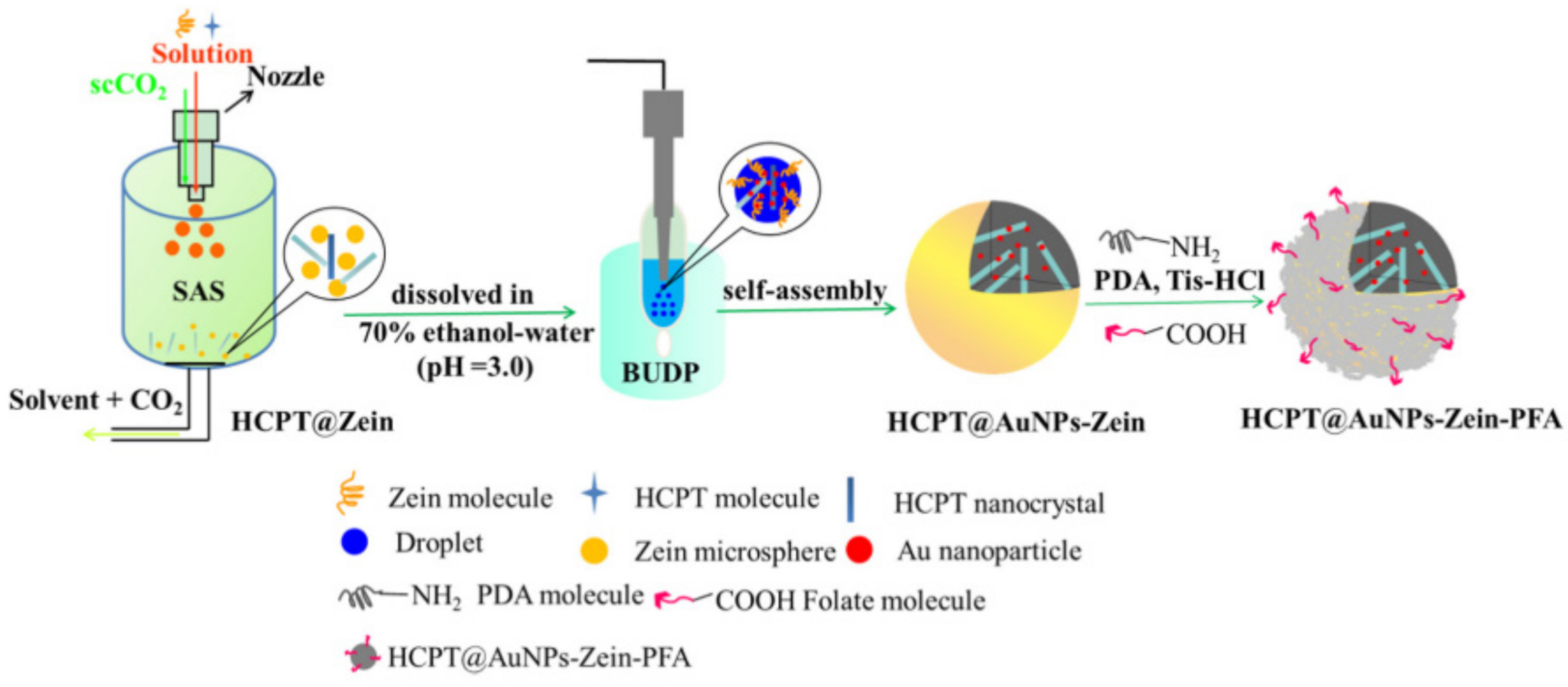 Pharmaceutics 13 01354 g009 550