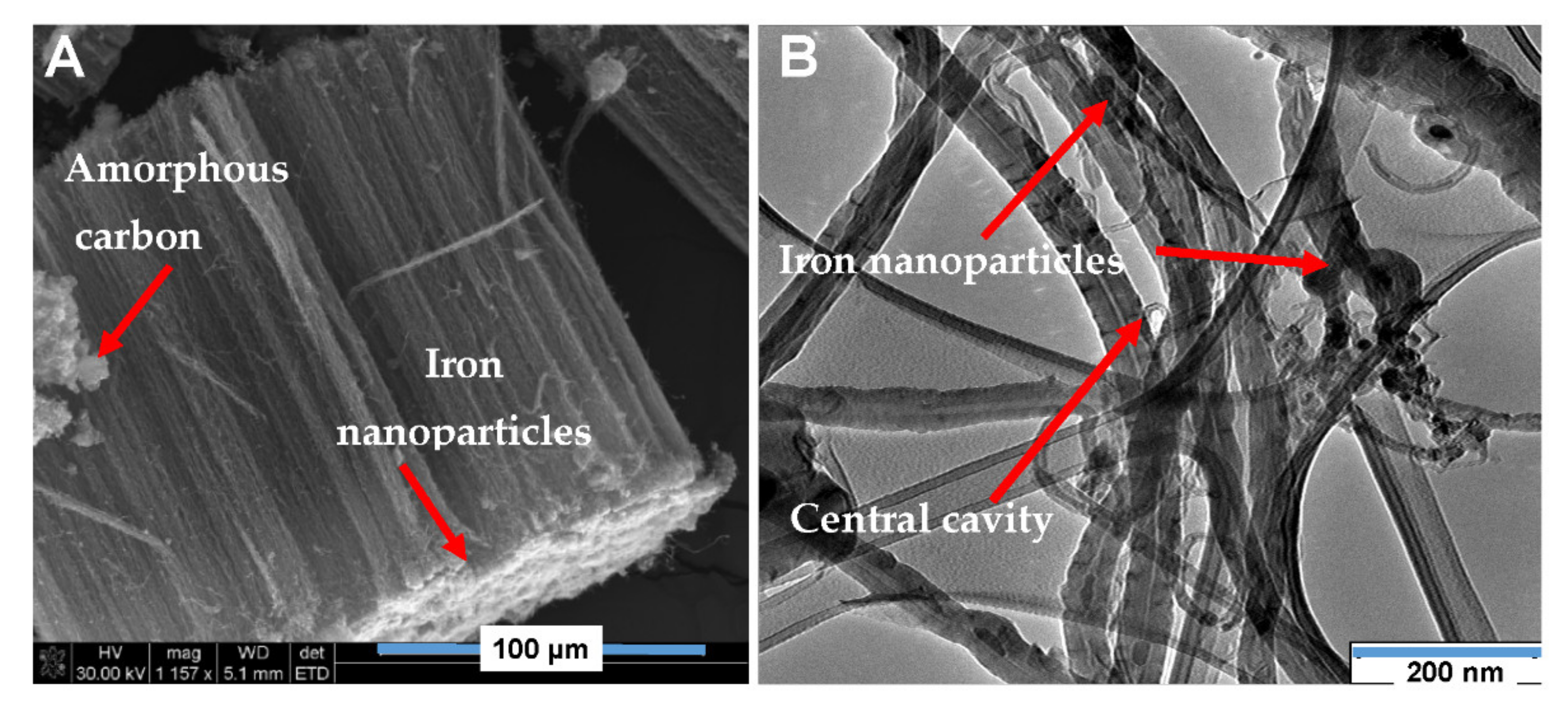 Pharmaceutics 13 01357 g002