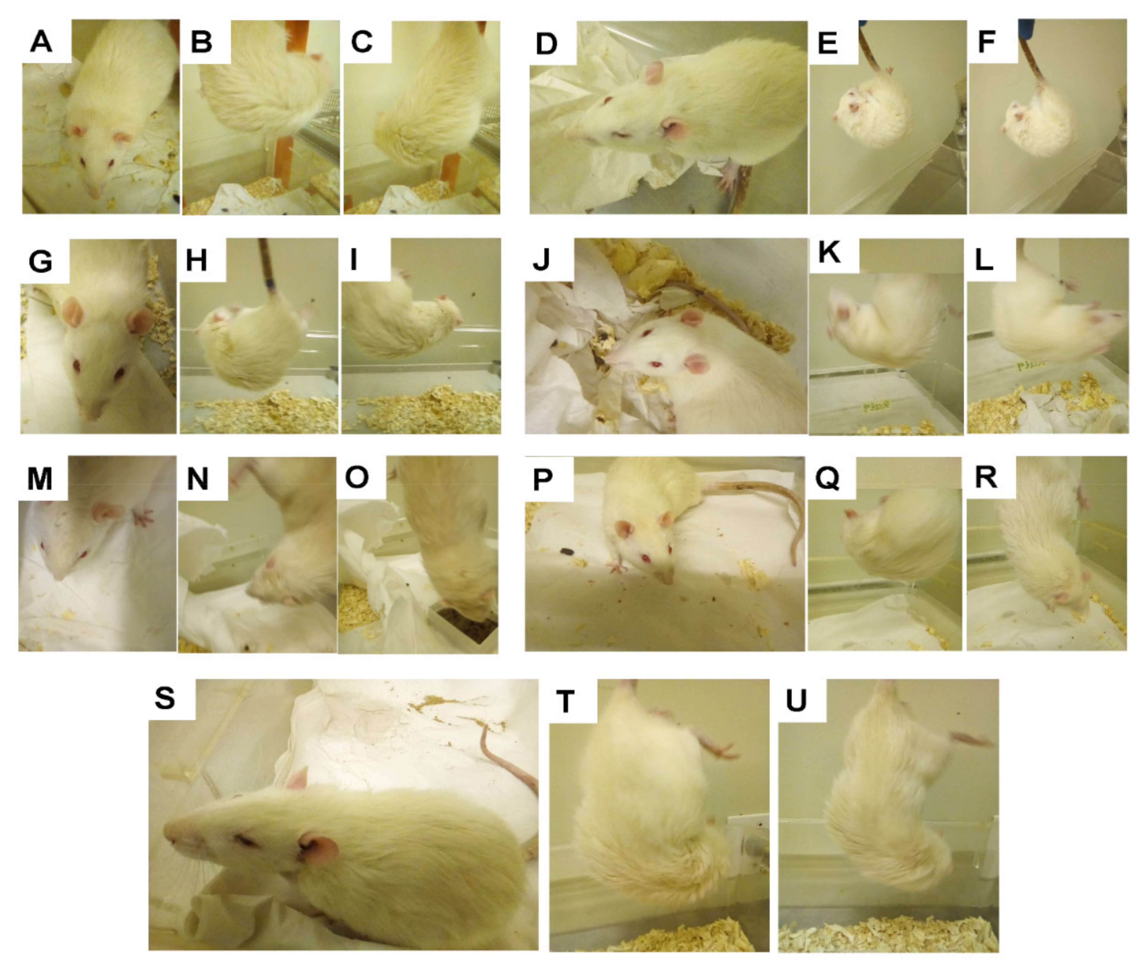 Pharmaceutics 13 01357 g009