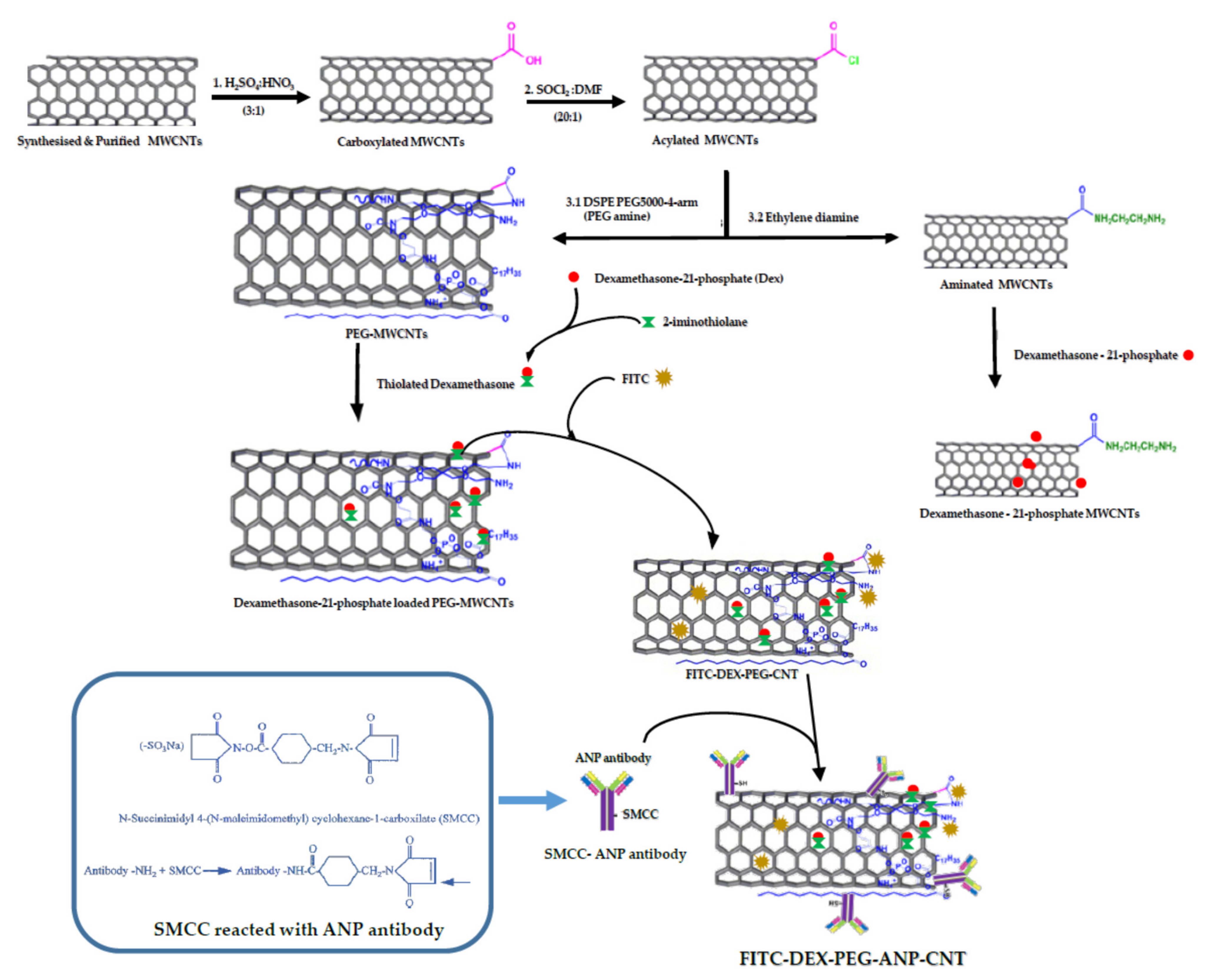 Pharmaceutics 13 01357 sch001