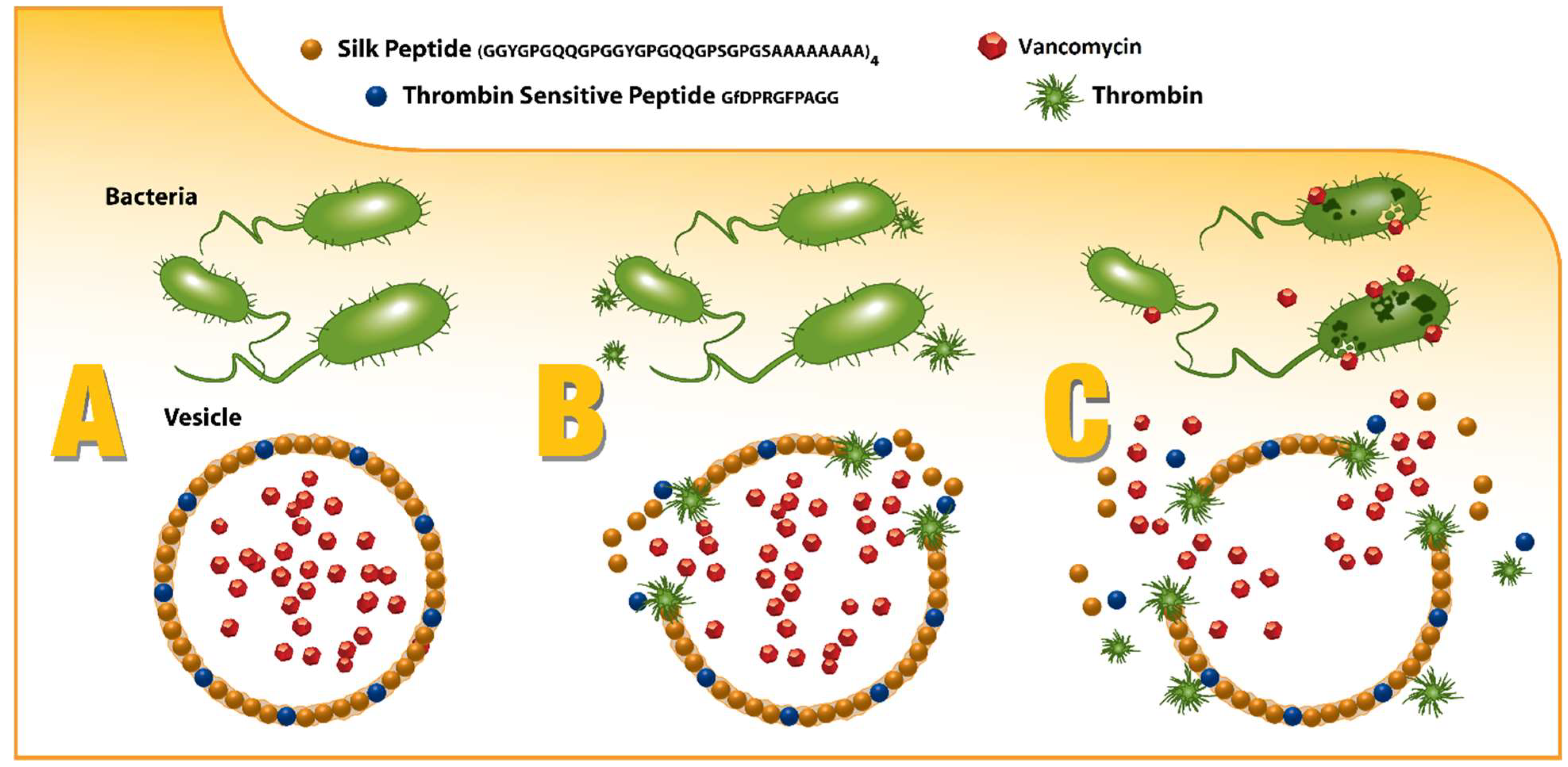 Pharmaceutics 13 01358 g001