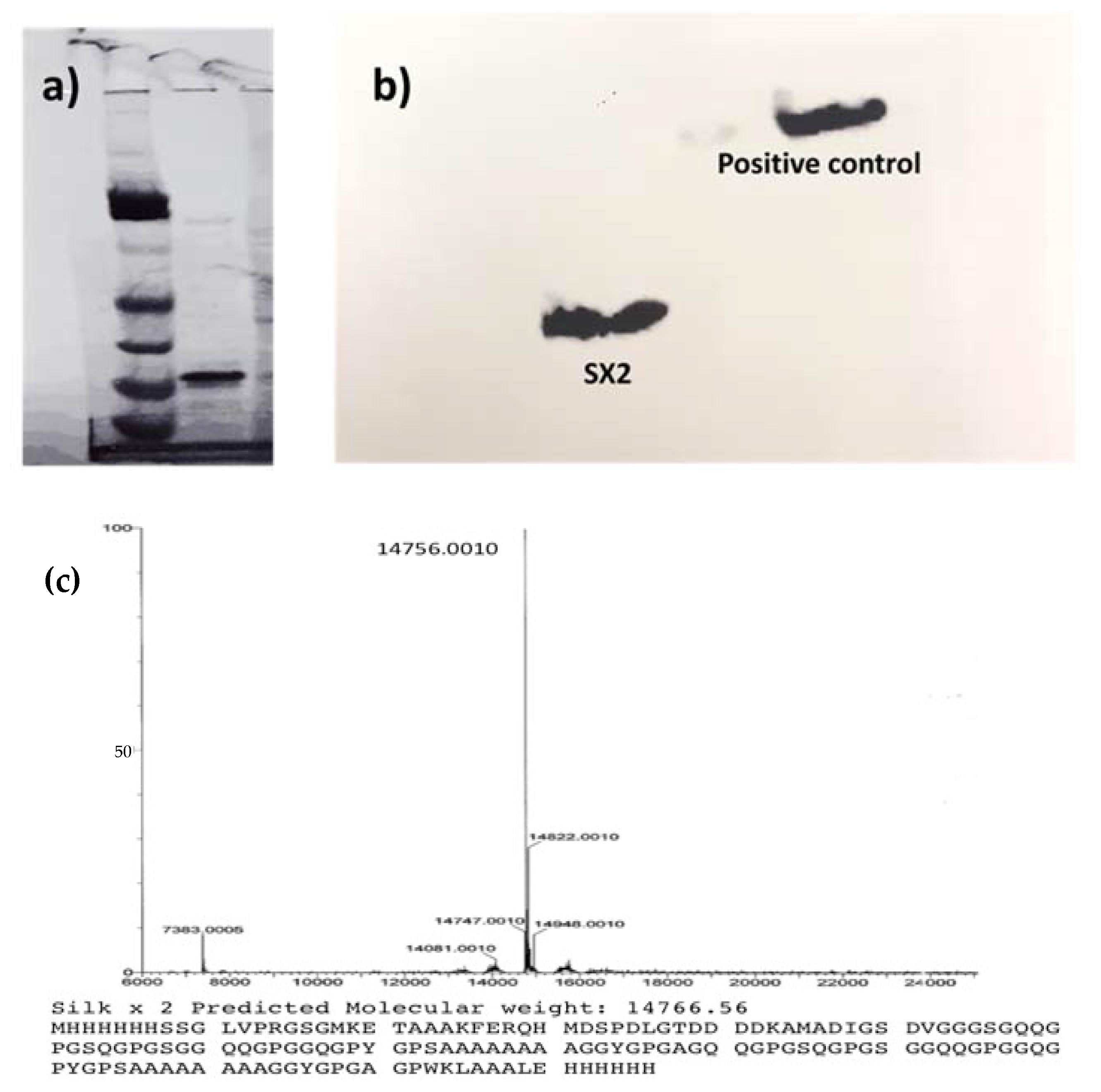 Pharmaceutics 13 01358 g002