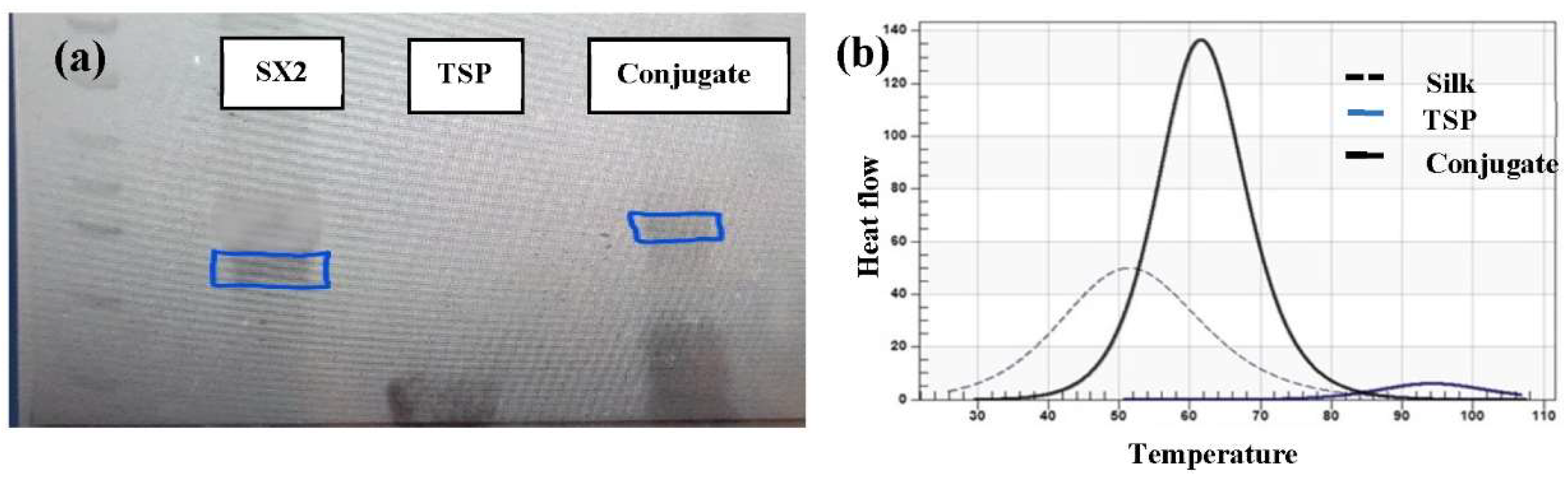Pharmaceutics 13 01358 g004