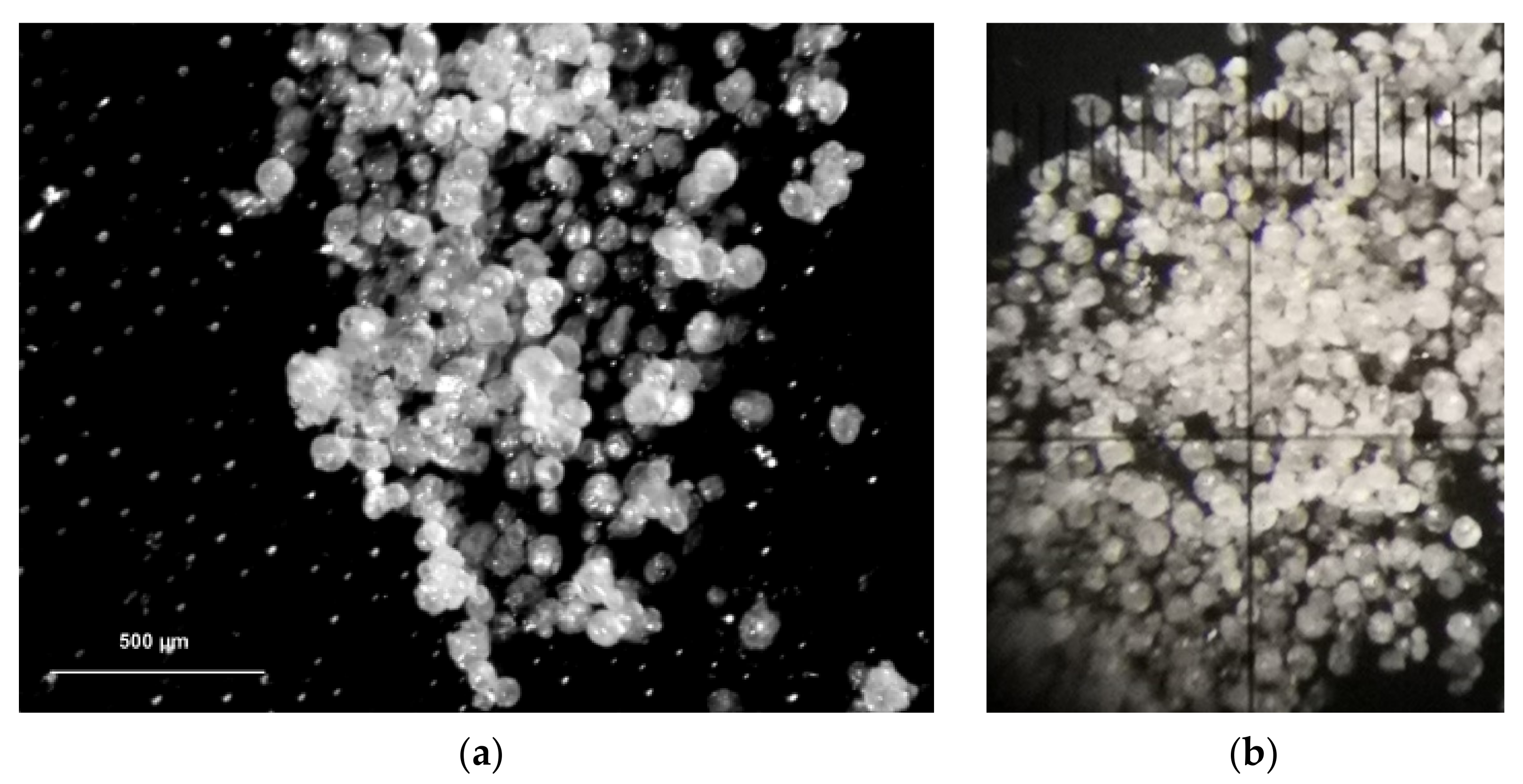 Pharmaceutics 13 01361 g005 550