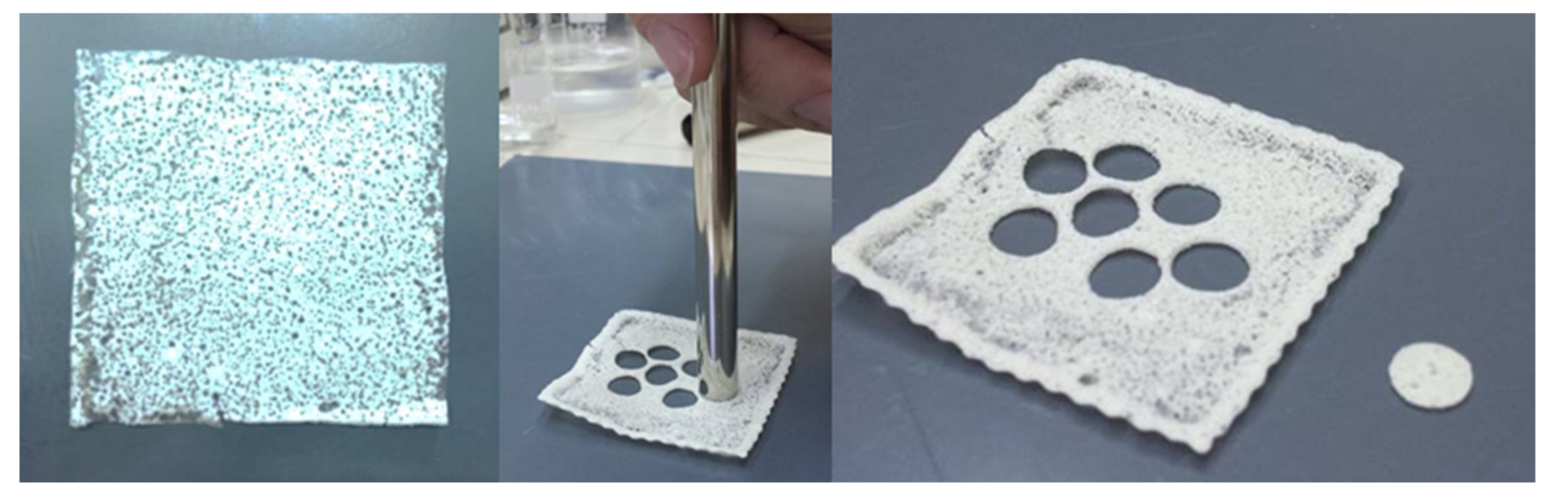 Pharmaceutics 13 01361 g007 550