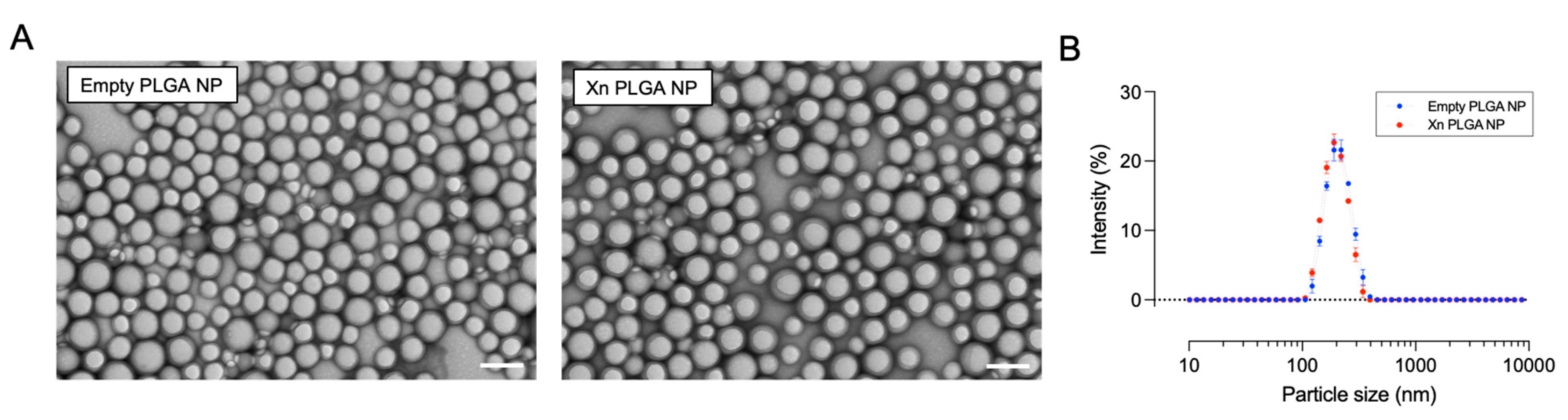 Pharmaceutics 13 01362 g004 Pharmaceutics 13 01362 g004