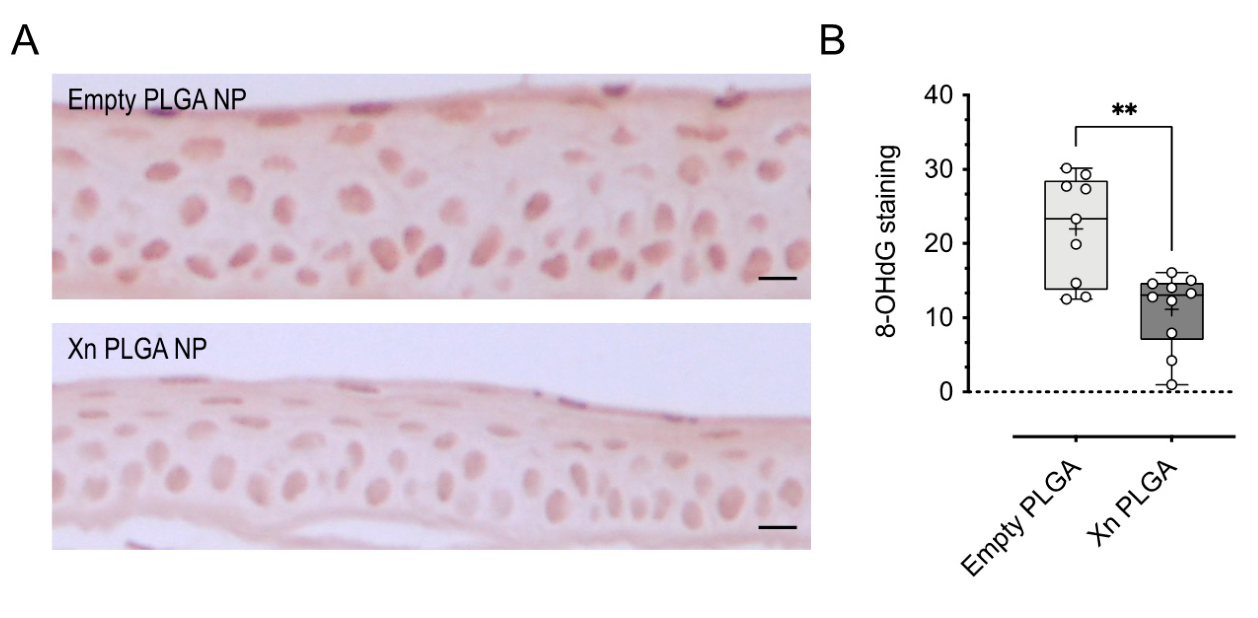 Pharmaceutics 13 01362 g009 Pharmaceutics 13 01362 g009